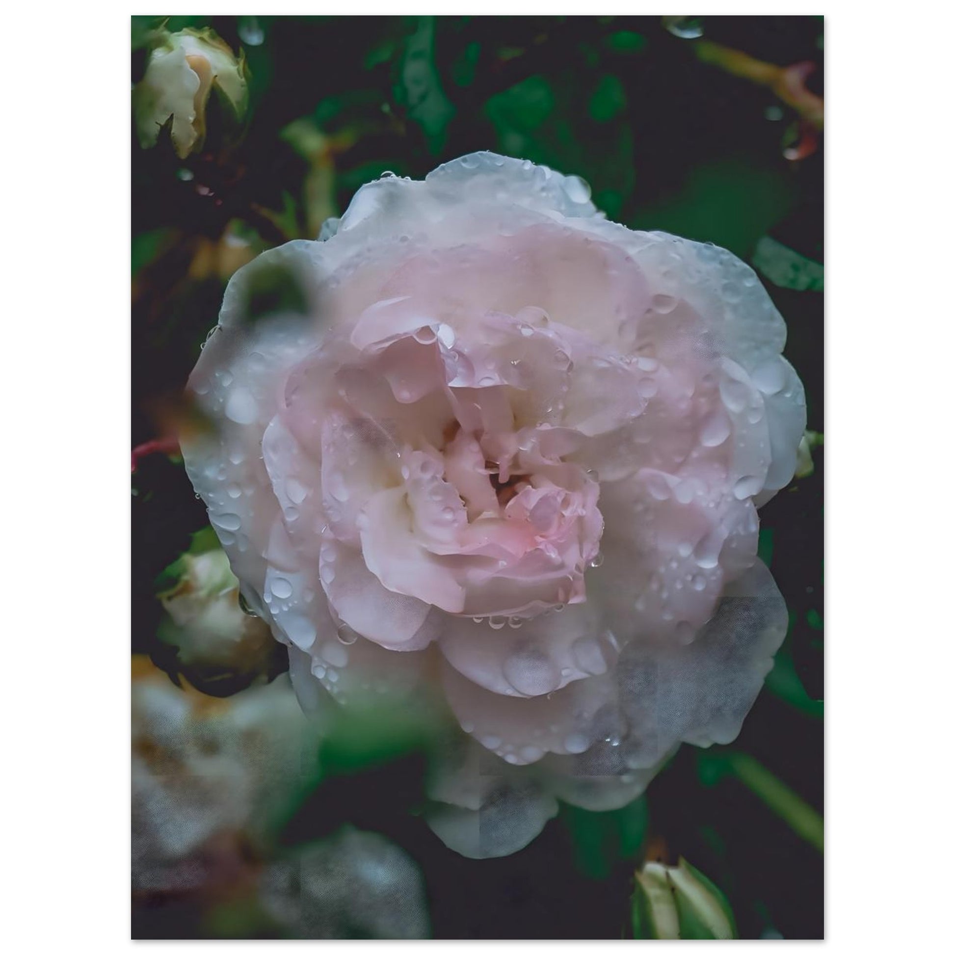 22d1793e-247b-41fa-806c-1576924fda22