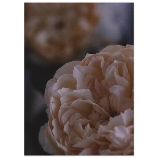 232e3387-8a47-4d5c-bcec-83de613129fa