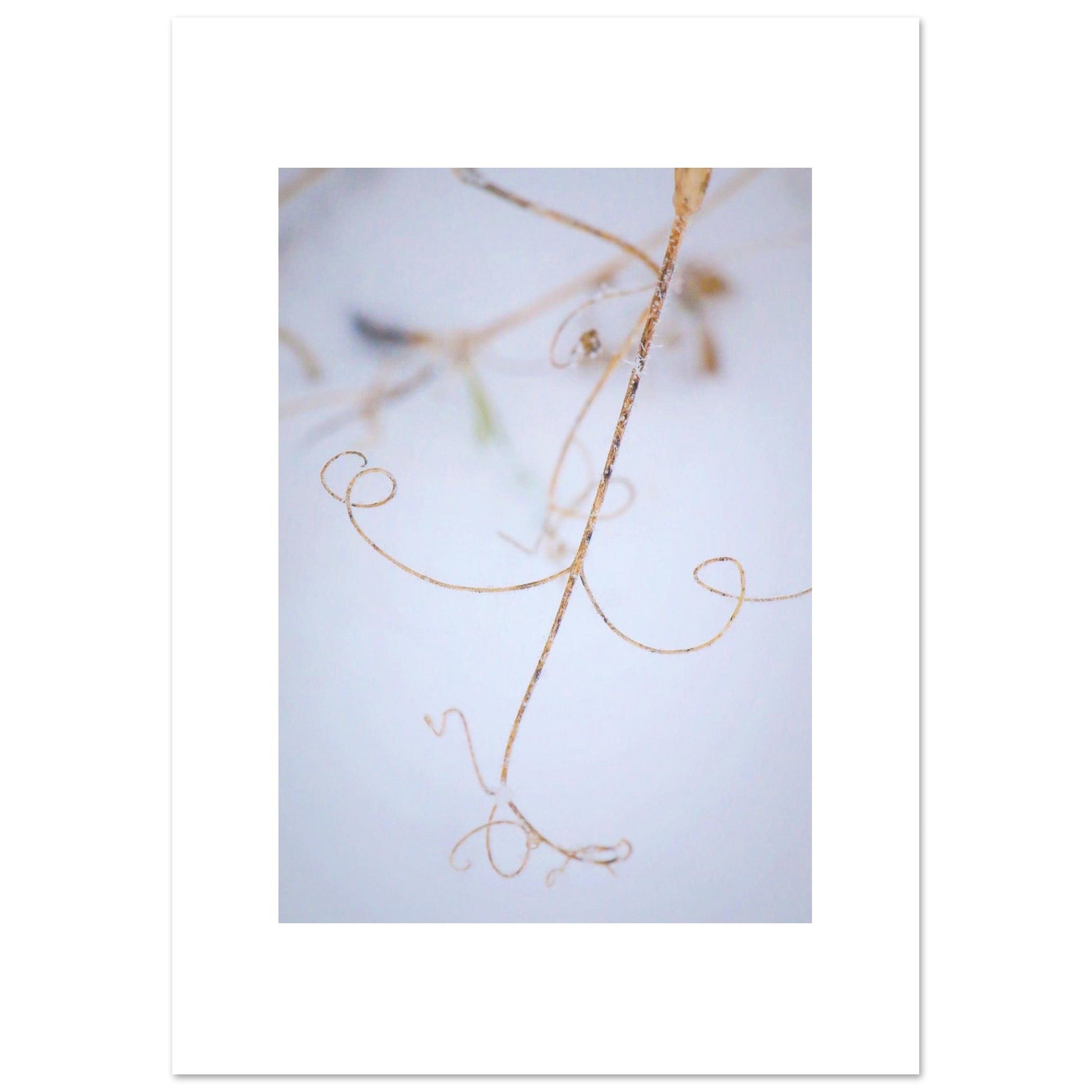 23d63c7a-cf18-48cd-9954-f0d9801a8191