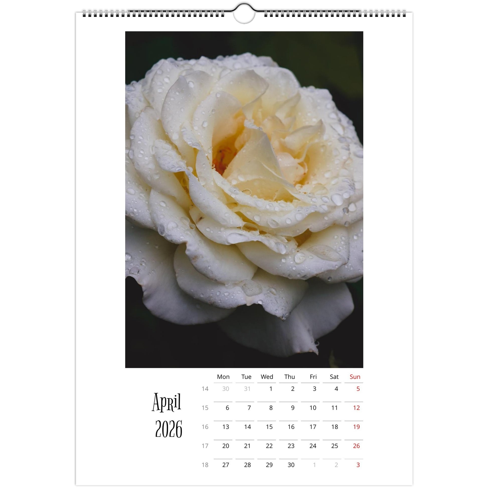 2d5dfac4-ec55-44c4-8dbe-35986c6d4241