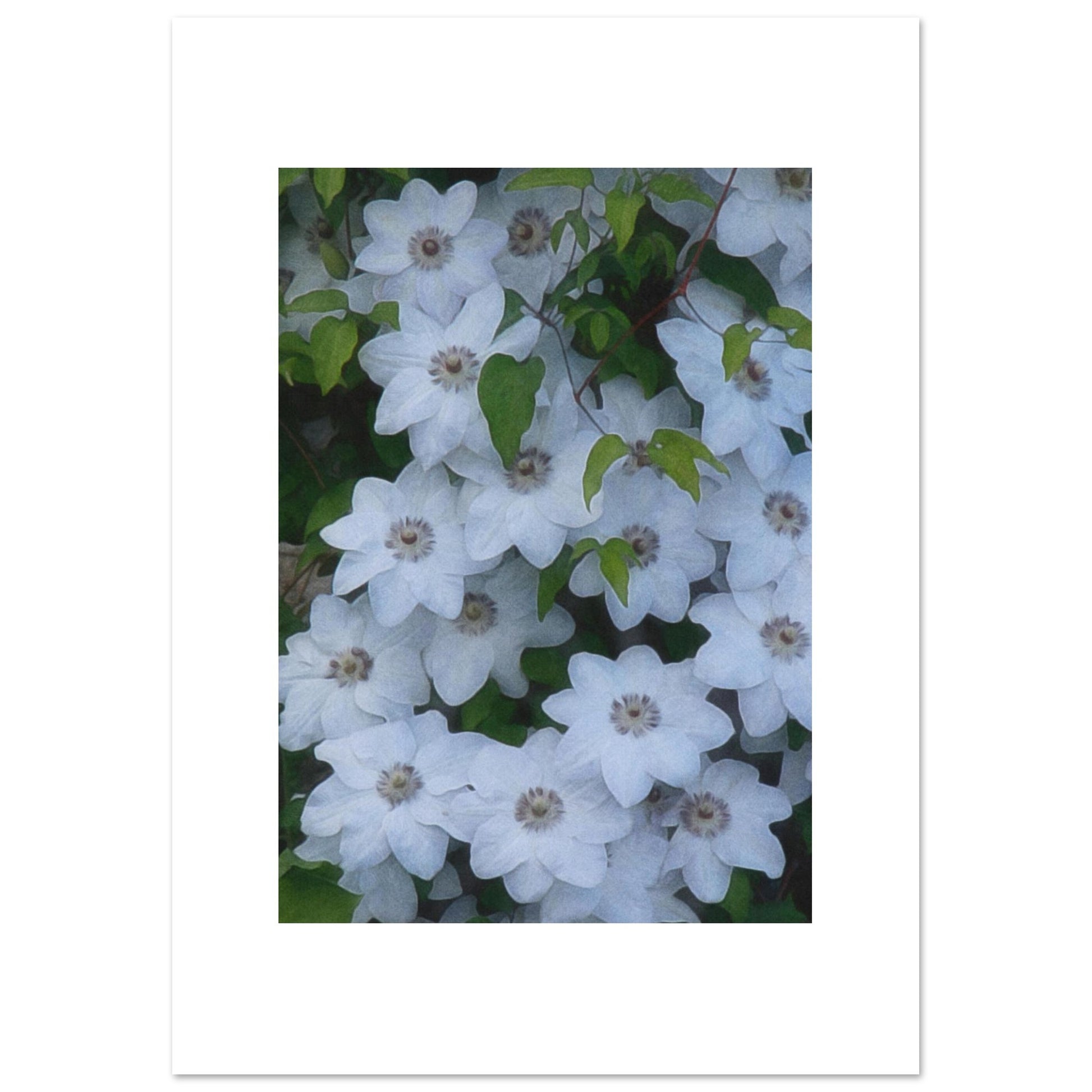 2ed6a59b-1316-4f98-923c-ec3479ccd6b4