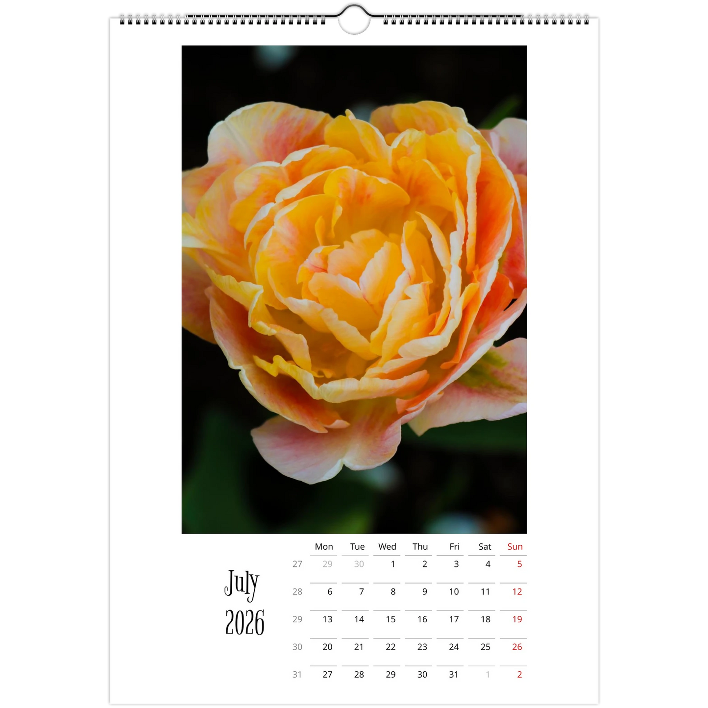 2f779a91-a463-4918-a8e4-463f549ab76f