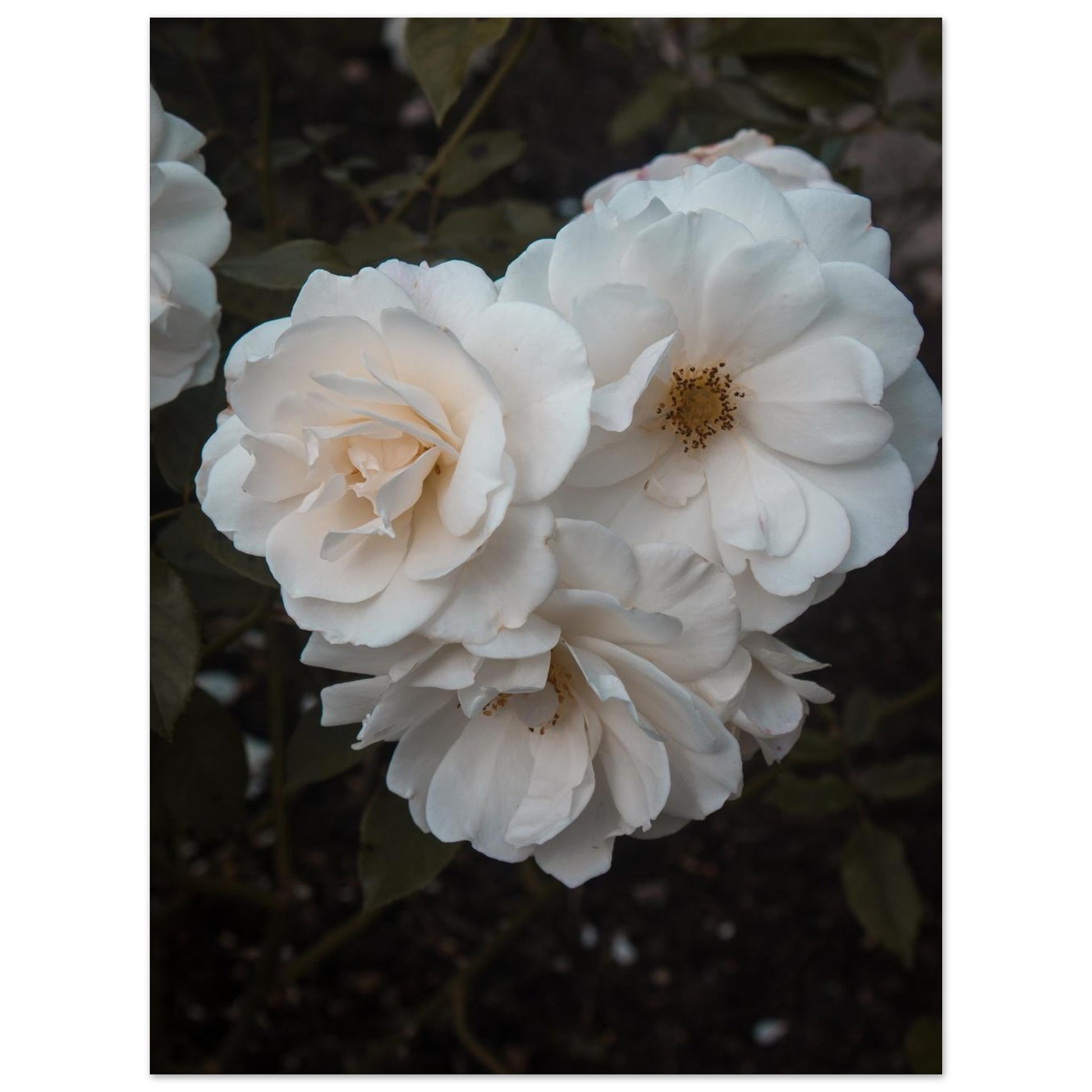 31dfc77c-320e-49c1-92d7-1bf5e49e2753