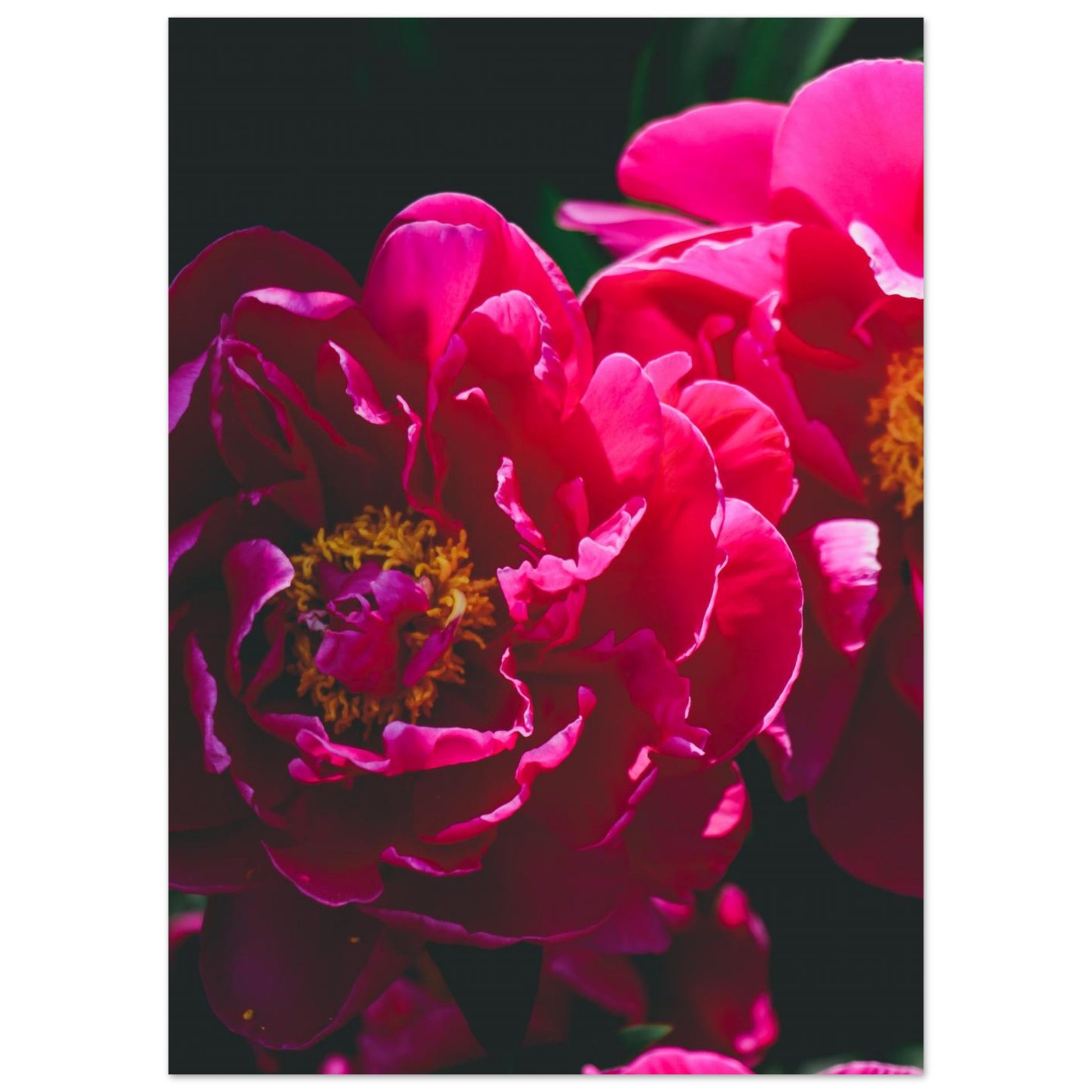 32a99618-fc91-4f5a-8372-d7d2694aa0a2