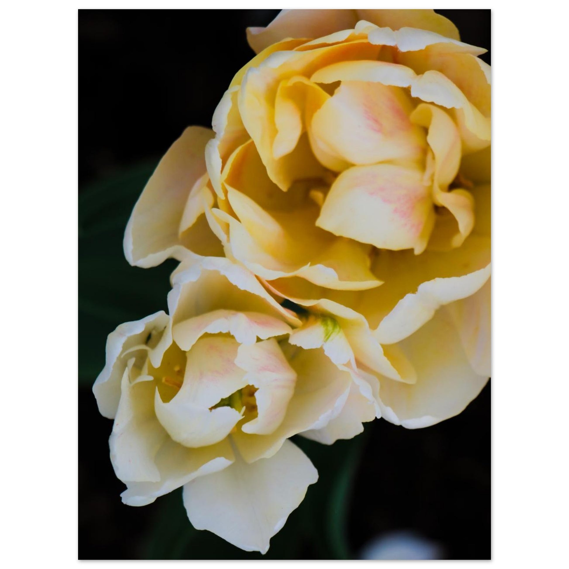 3321f1b5-b126-4104-9697-dc472eebdf04