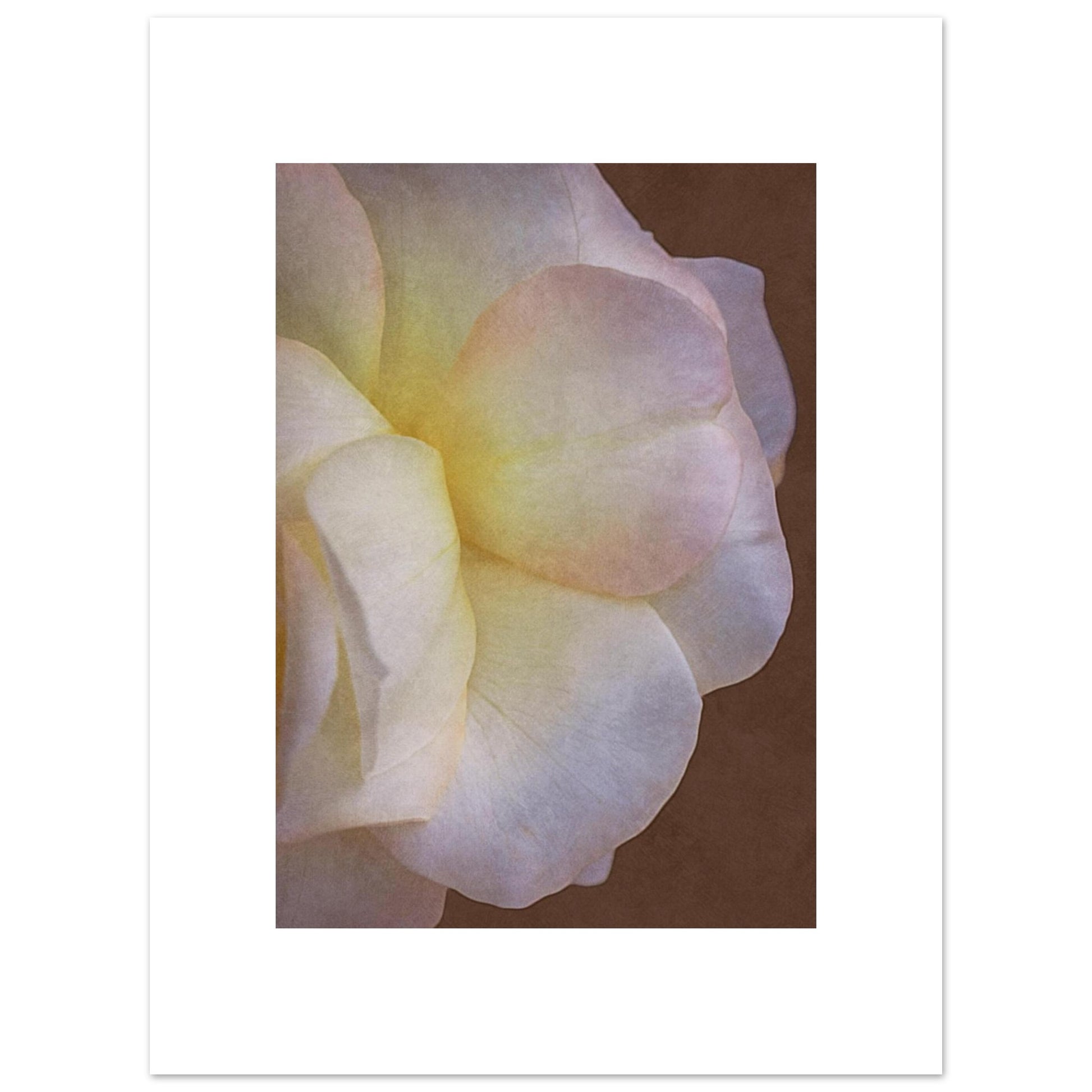 34c43e1e-ec4b-4599-b446-806680ca11e8