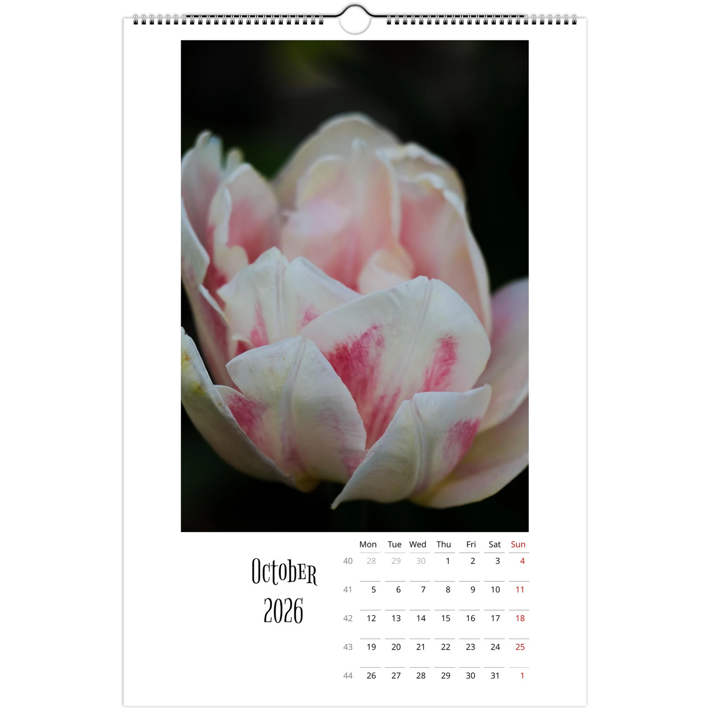 362bba98-c310-48a7-a20d-8b195f4e77a7