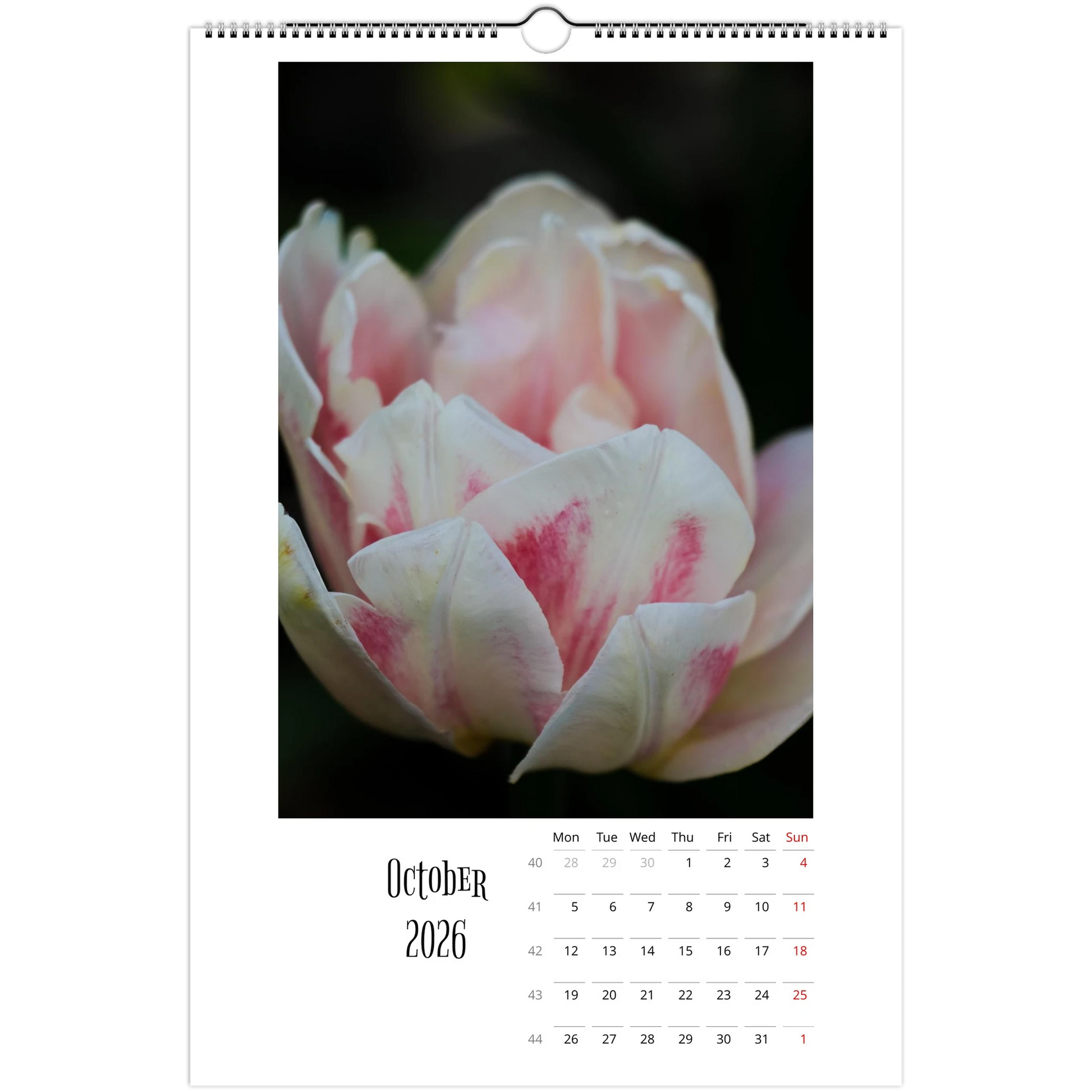 362bba98-c310-48a7-a20d-8b195f4e77a7