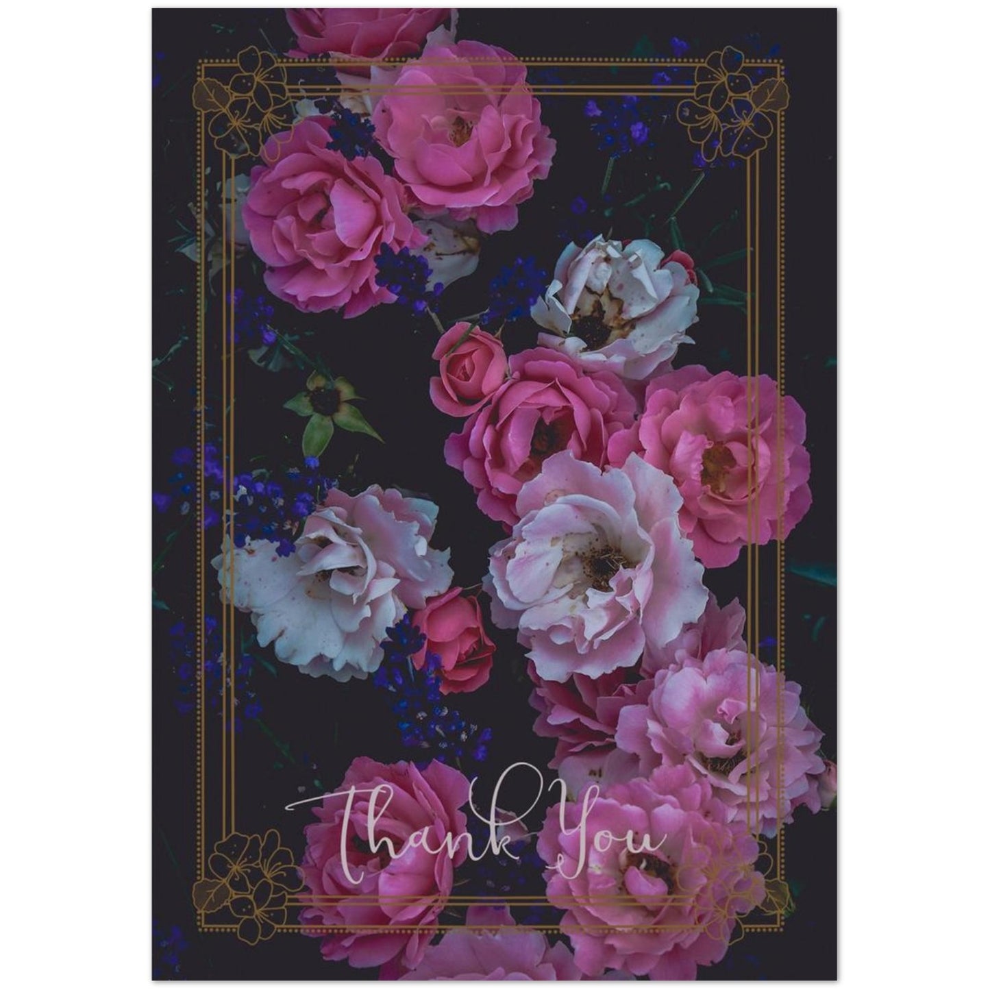 3741a995-080a-4d5d-b30d-9acbdf809637