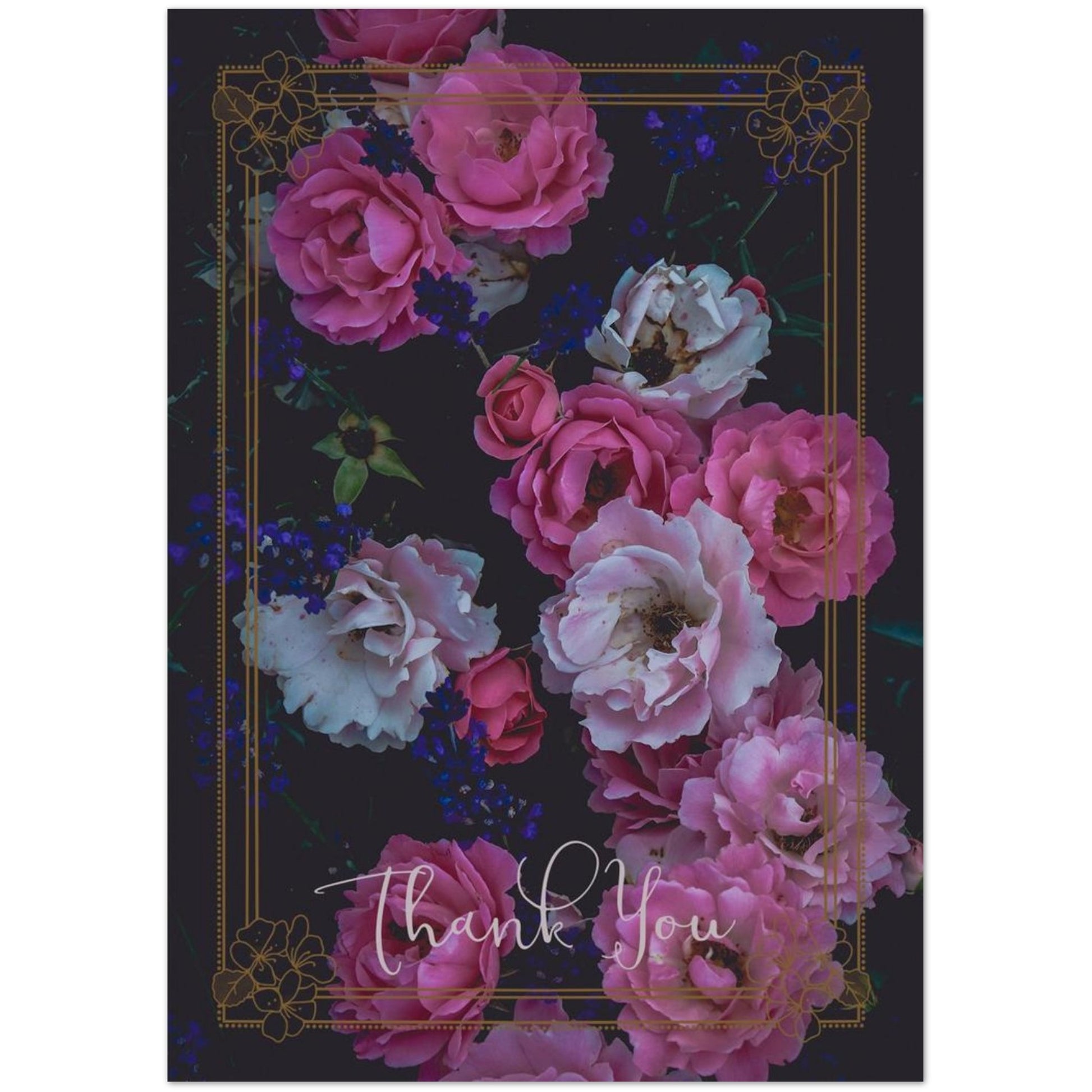 3741a995-080a-4d5d-b30d-9acbdf809637