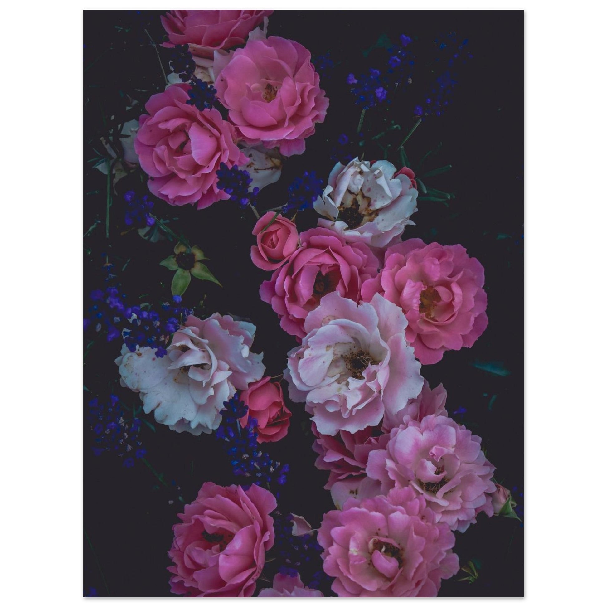 3992df90-a860-4b8c-80ca-1b30f5d1ffe0