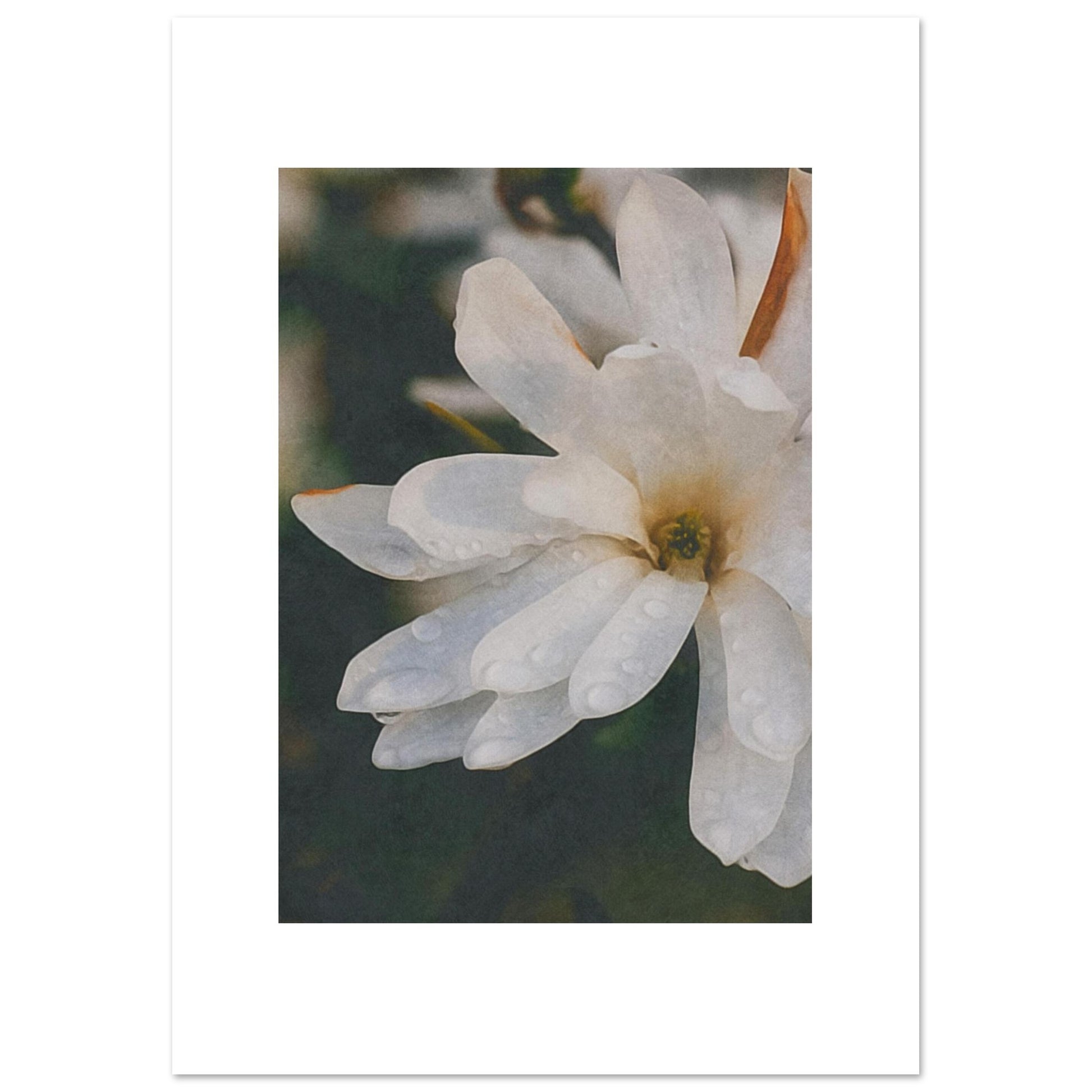 3a1c6d58-88d6-4b6a-8b03-3744225c2707