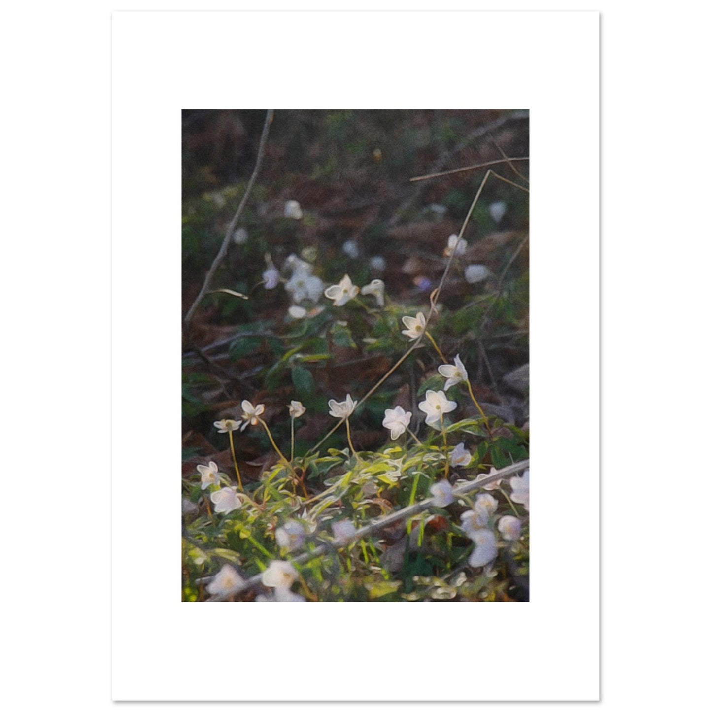 3a710358-d977-4f42-b2fb-4ea80b2d7faf