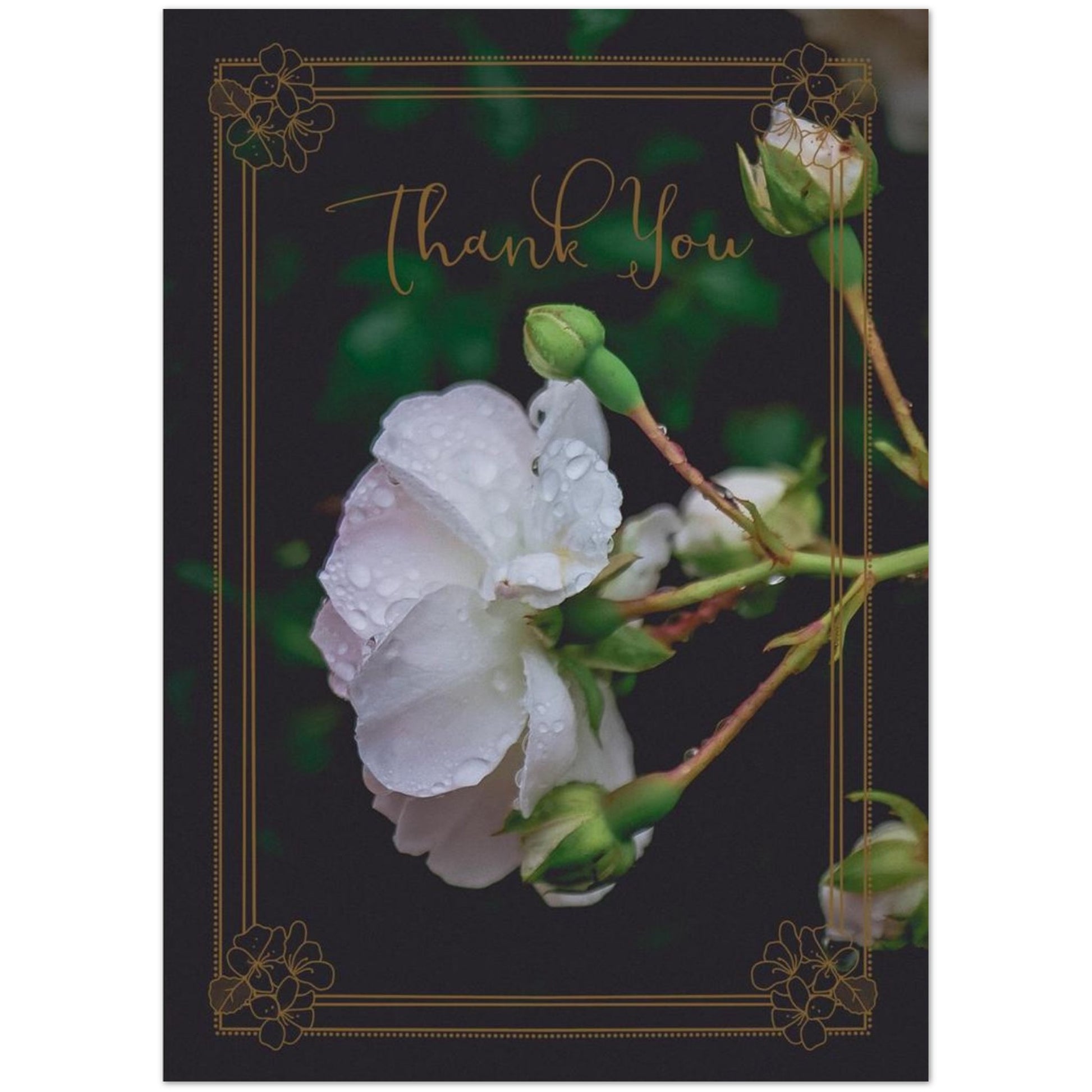 3da1f6b5-8bac-428b-85e4-7b10898c37e2