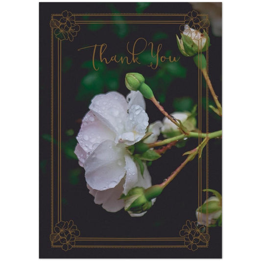 3da1f6b5-8bac-428b-85e4-7b10898c37e2