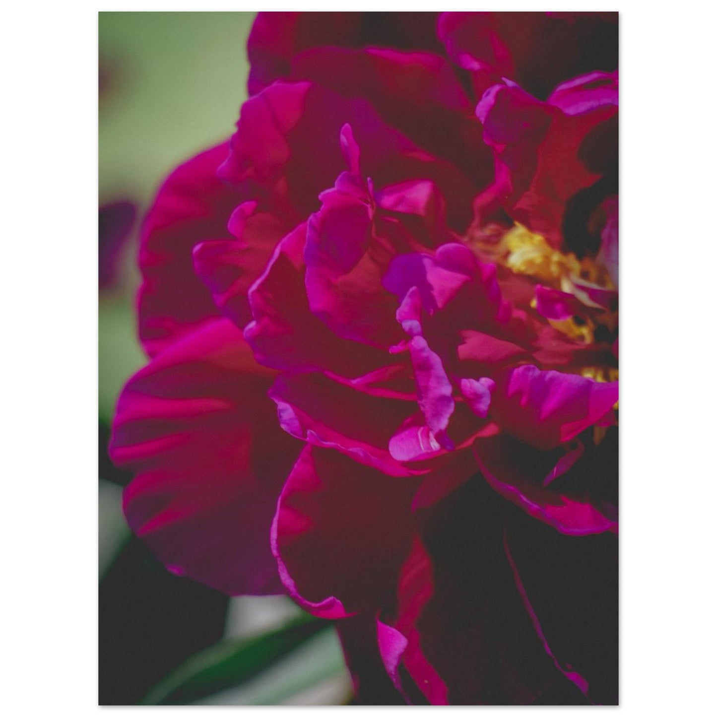 3e8206da-70d0-4aa7-86b6-510078d3319f