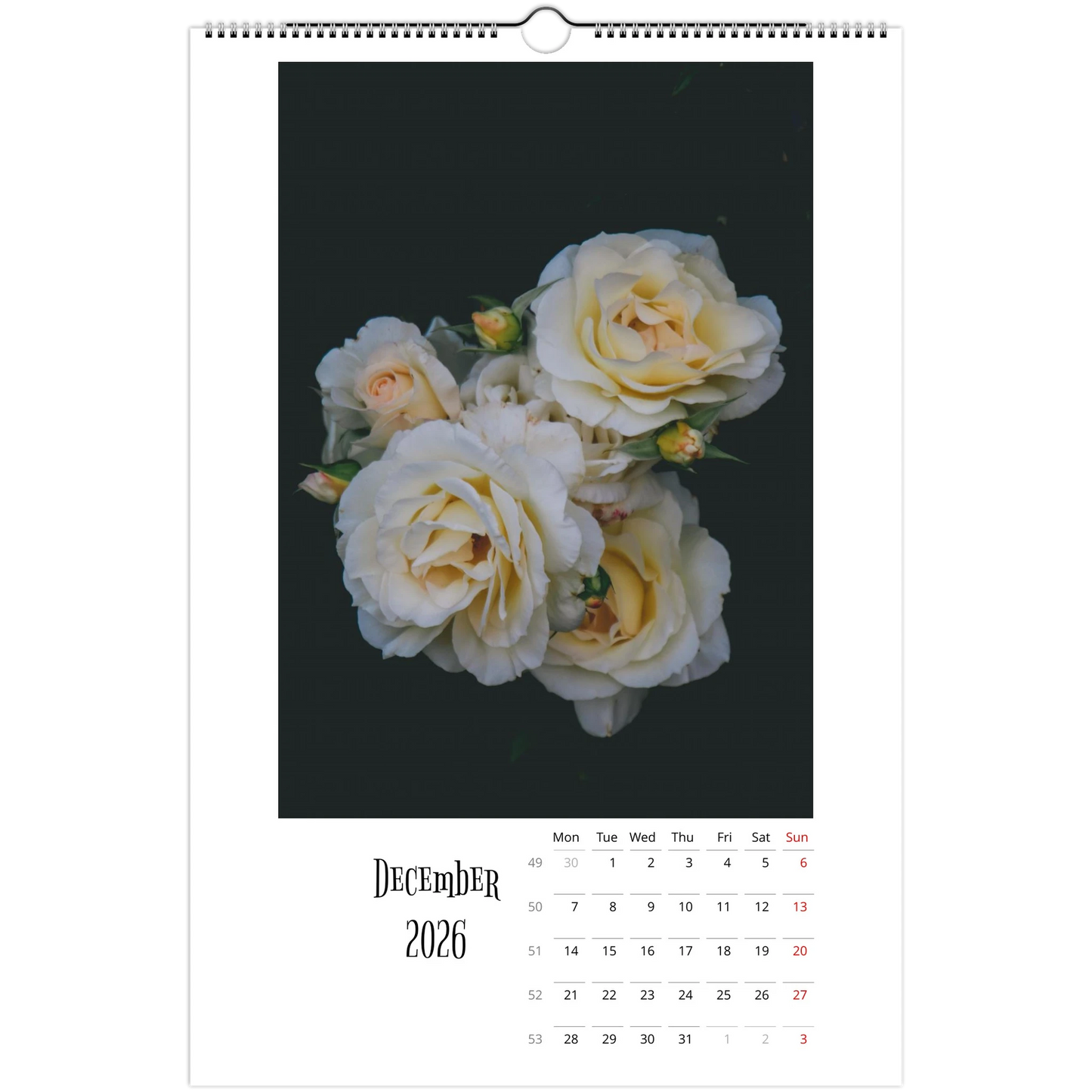 41943f06-79b1-4ee8-8021-02033d7e9008