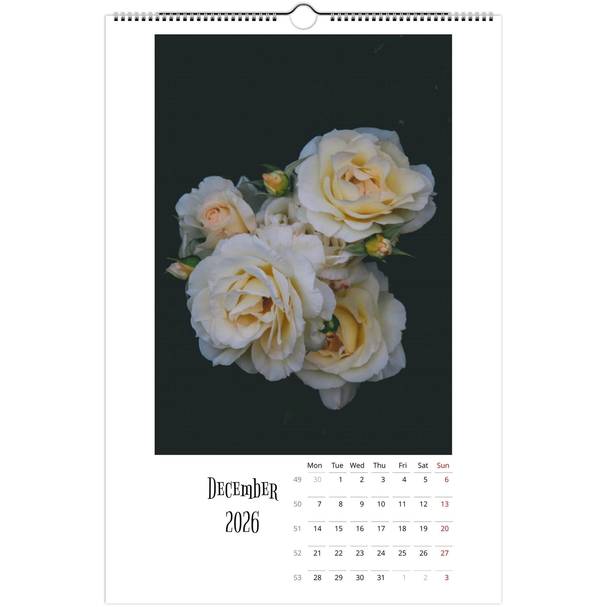 41943f06-79b1-4ee8-8021-02033d7e9008