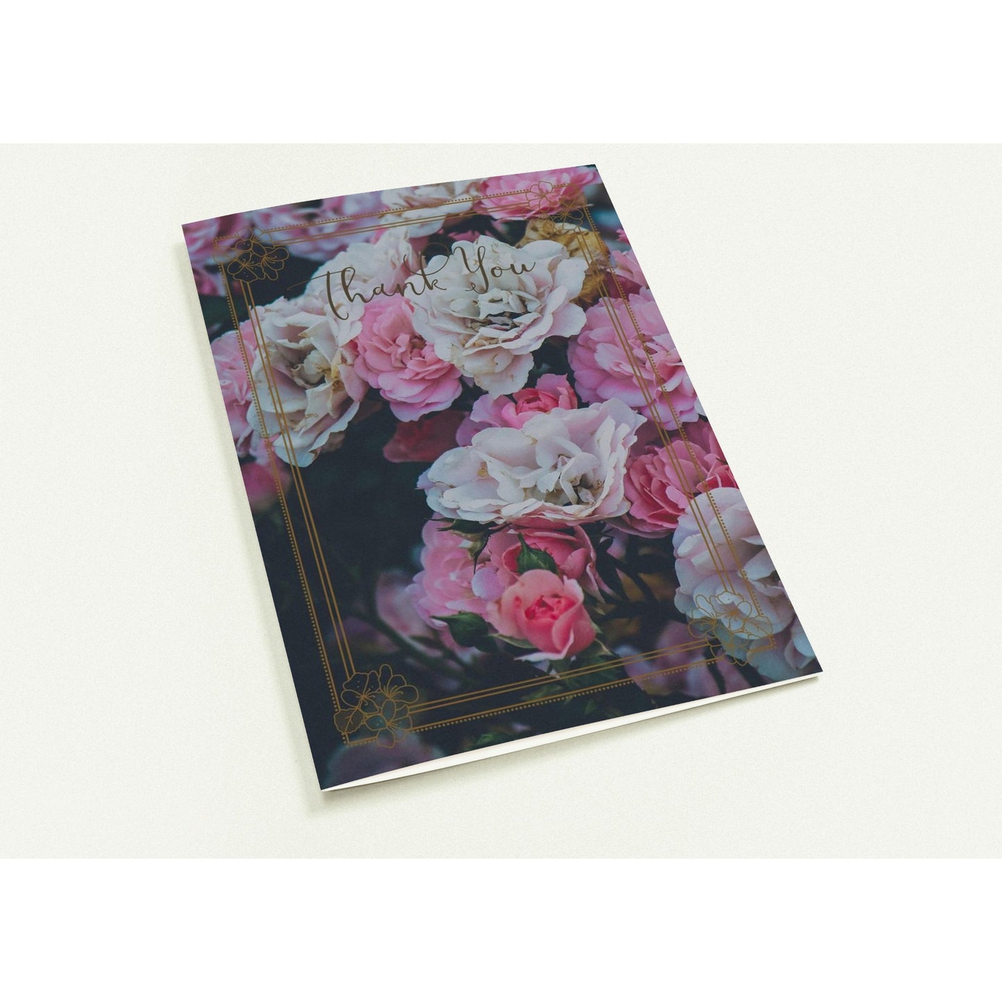 4241b8d7-9222-429a-9ce7-5c681b4e2646