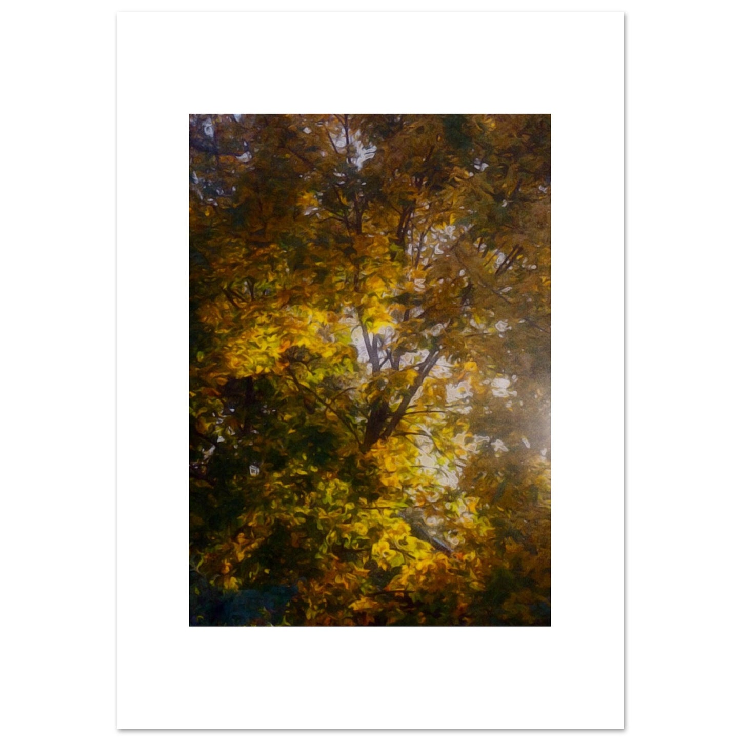 438a070d-6ff4-4c0b-8141-0e31e78557f7