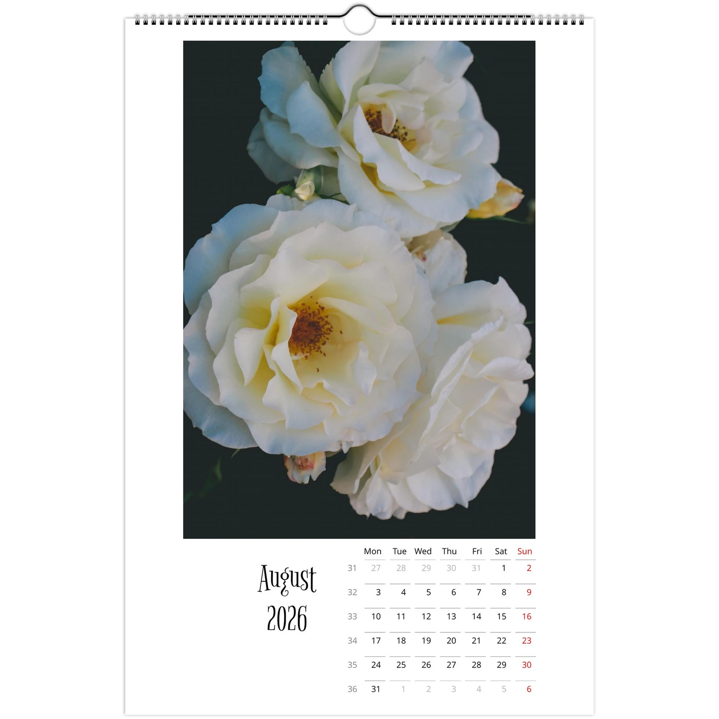 45219e42-74c7-4e36-ae77-869811c0705e