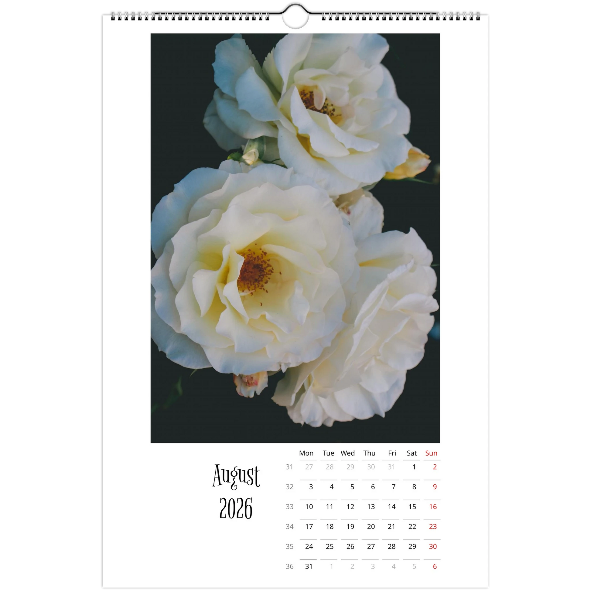 45219e42-74c7-4e36-ae77-869811c0705e