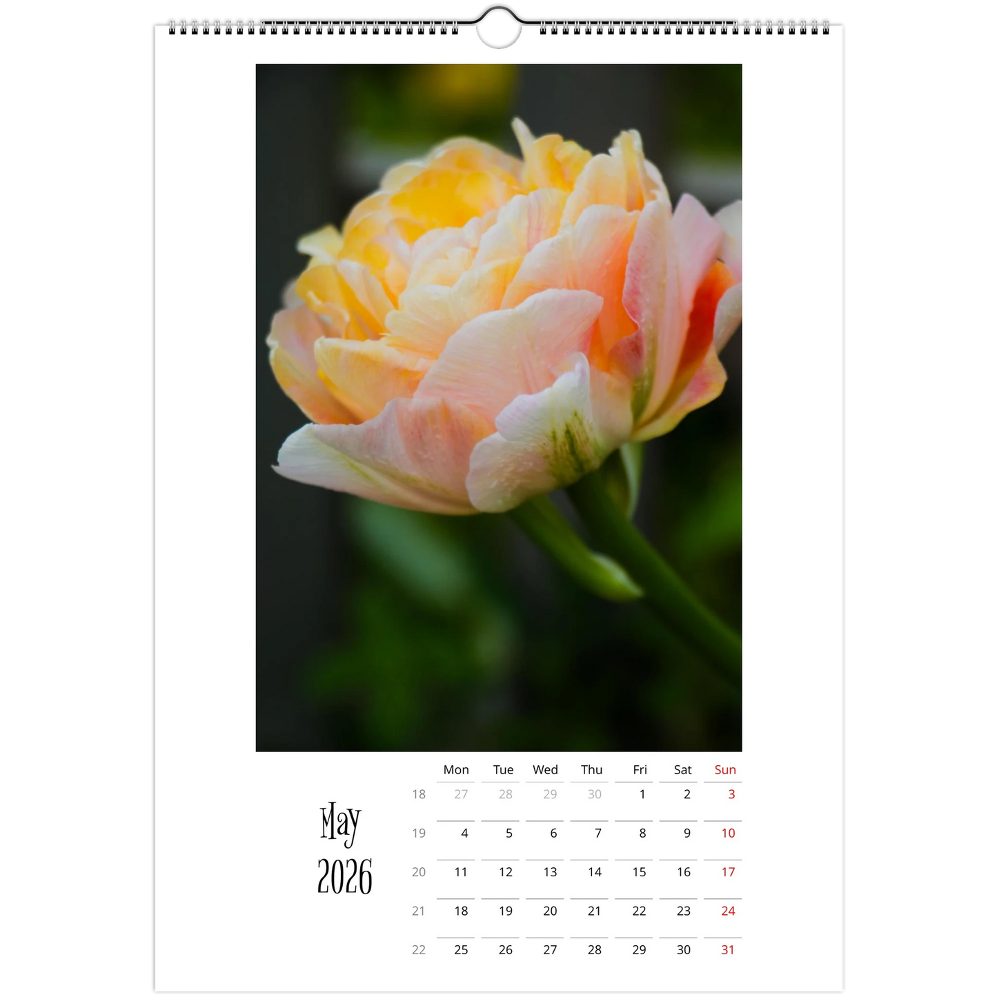 45d2caf7-cebf-49c6-ad8c-42acf9fa28e4