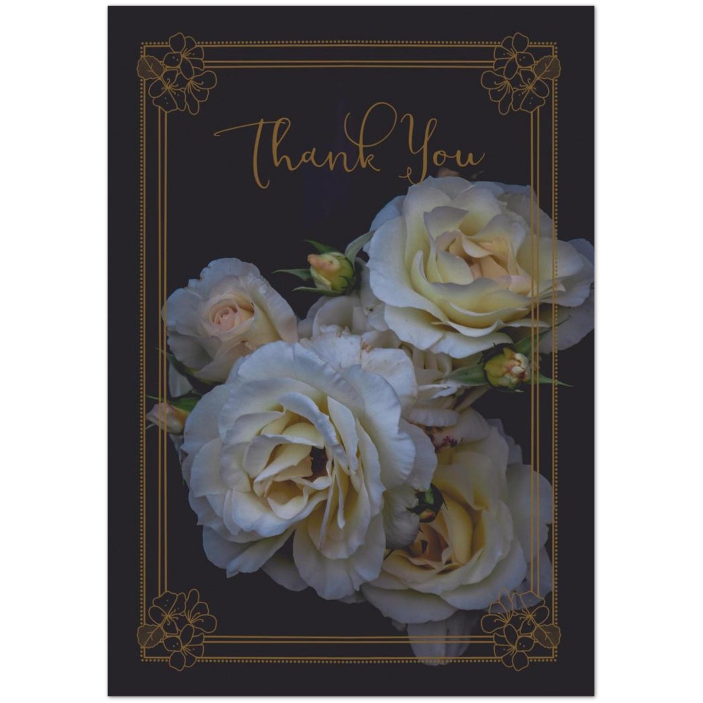 462363aa-897e-4b6b-b4d2-46a65ac81c81