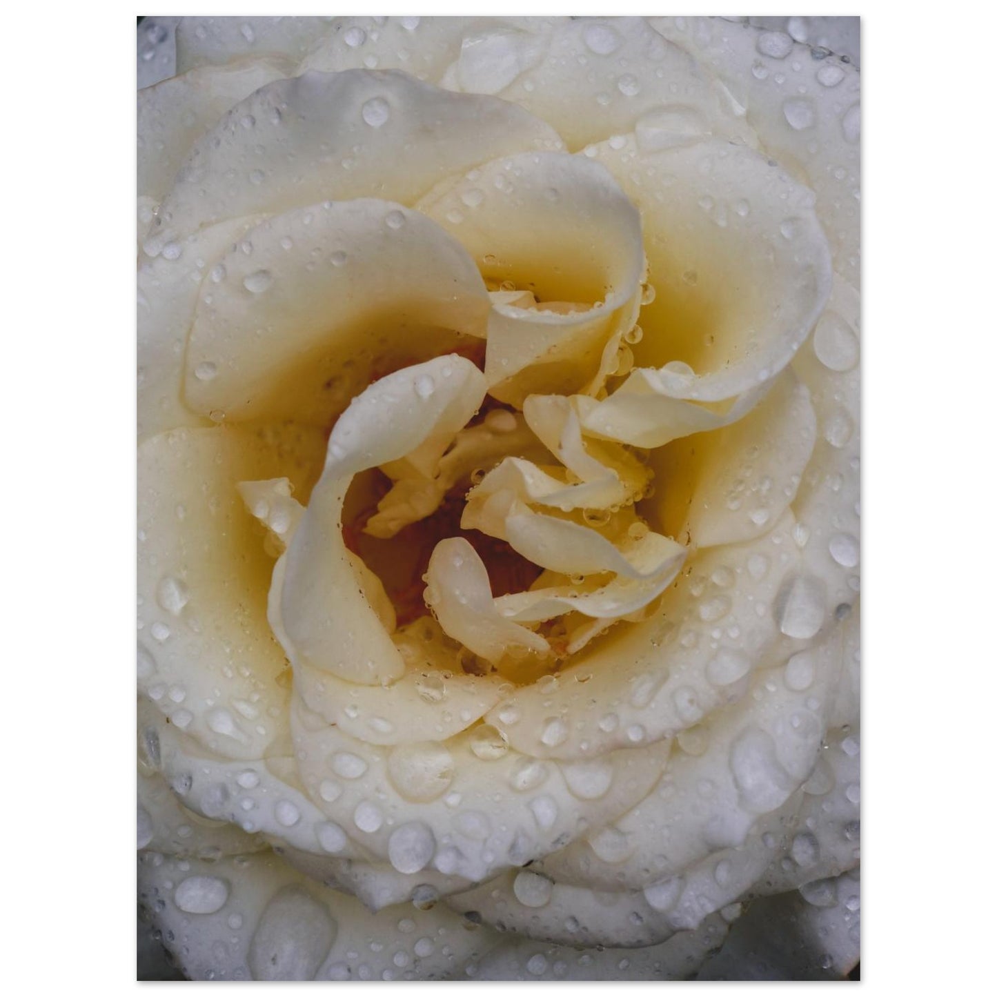 466e948f-868f-4076-a406-0d12e6bf62b8