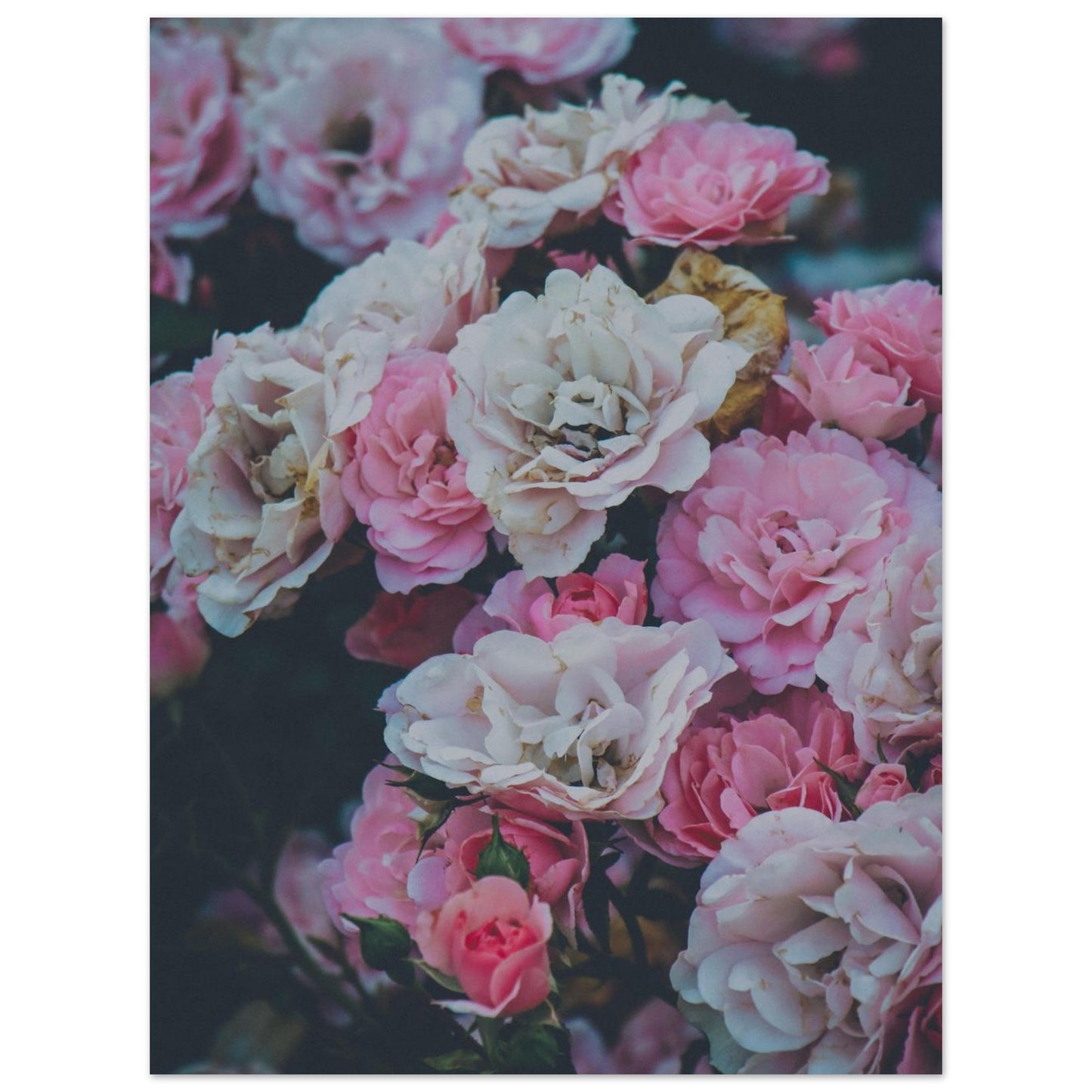 468952cf-dbb8-40a4-b48c-2823f8a86a65