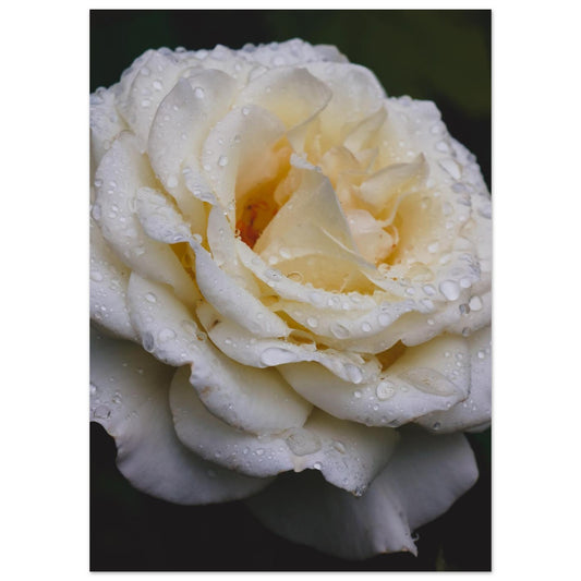 48f93710-7b36-42cb-8477-8f265a906159