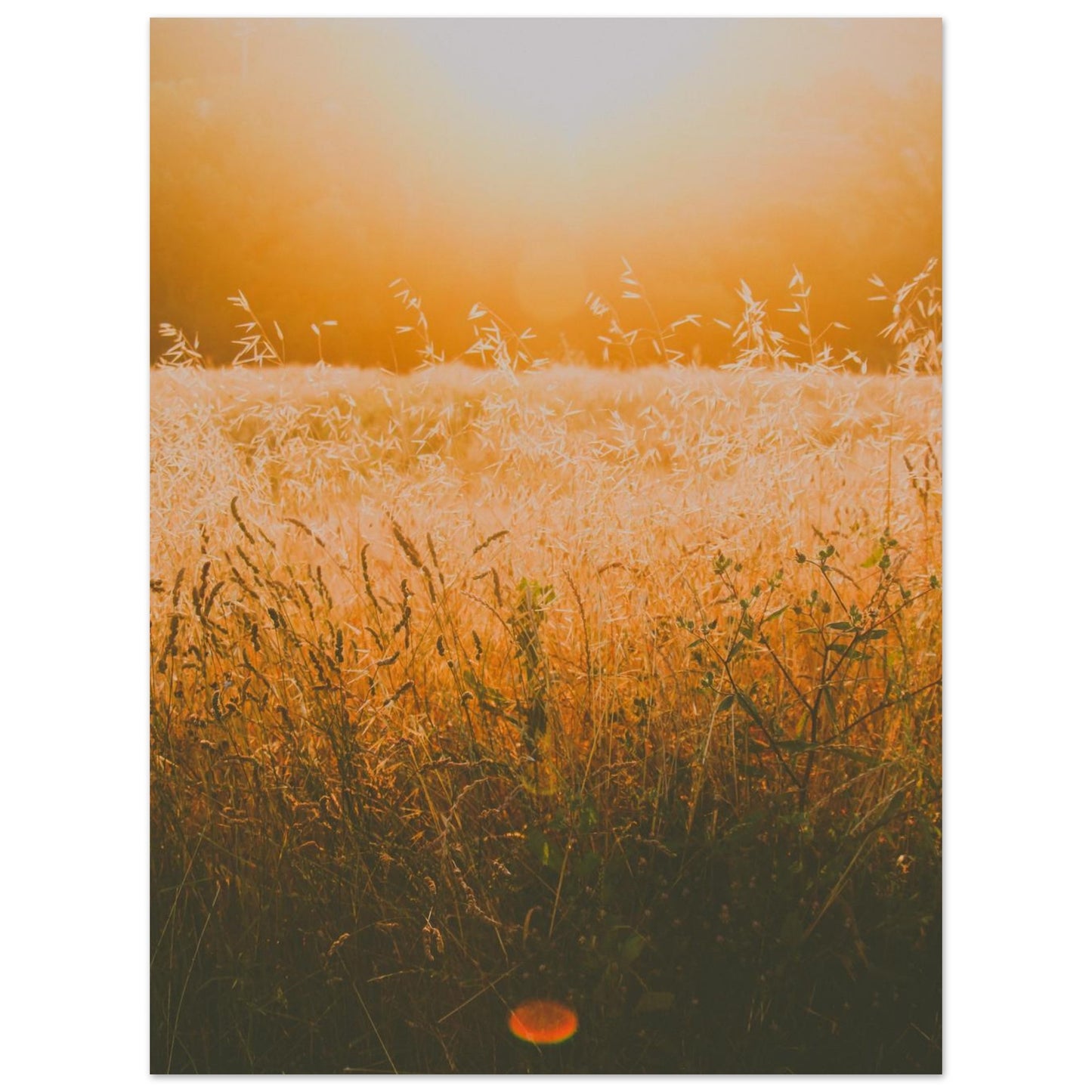 499f4cce-c0f3-4040-8d36-85d1bd6eee39