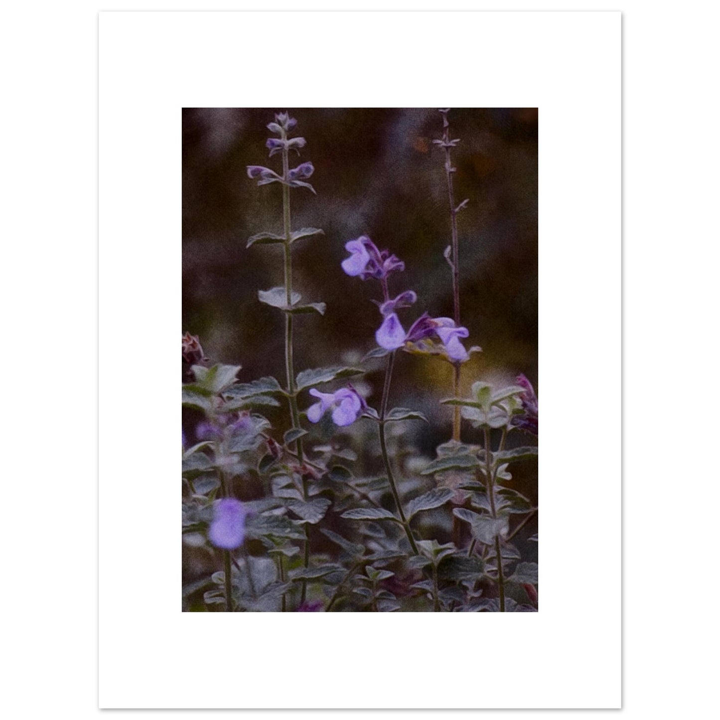 49aa734b-7ee0-417c-ae31-5610eaf6cbe0