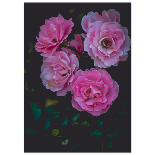 4b54df46-7ecb-4398-aa8b-b32cc8e44e3c