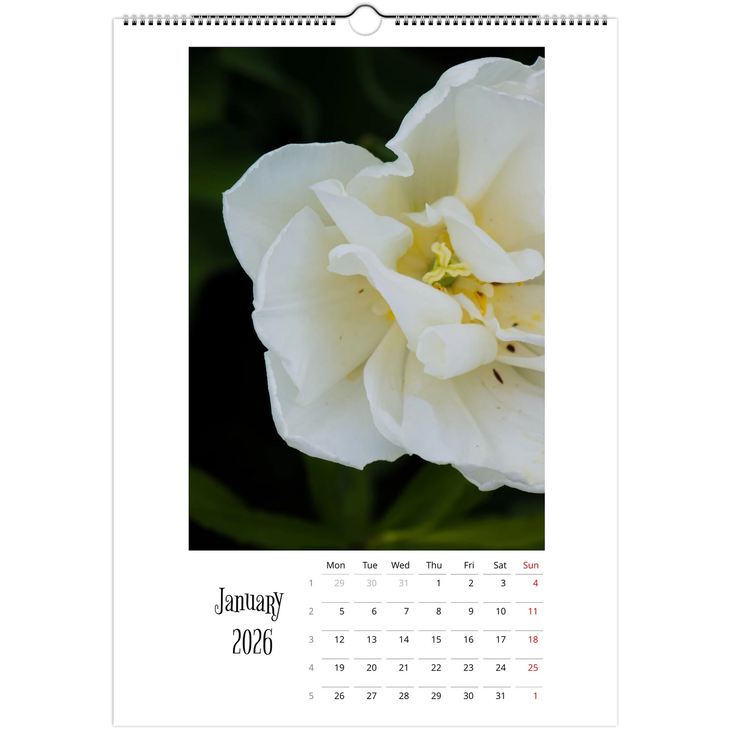 4ed155f0-d330-4a76-8932-375c03b9b355