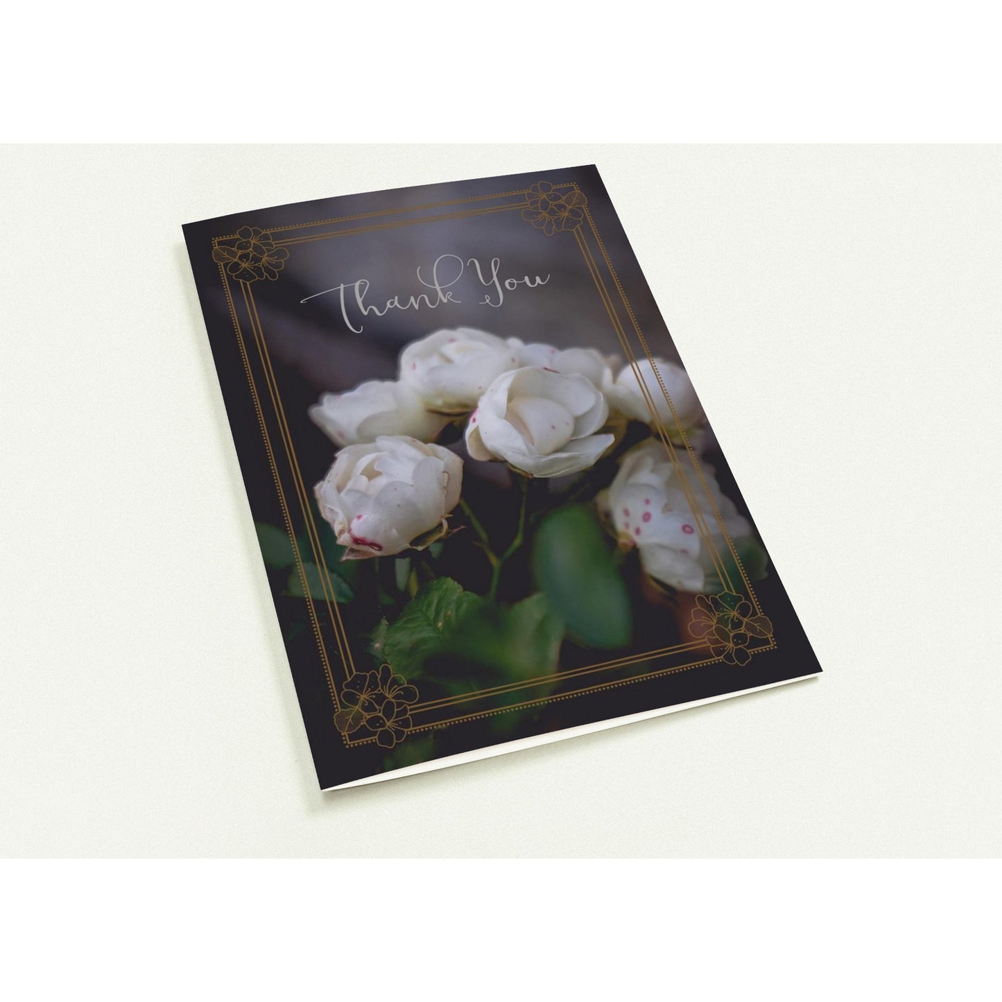 51fd860b-8bae-4fc1-826a-5d3ec704679e