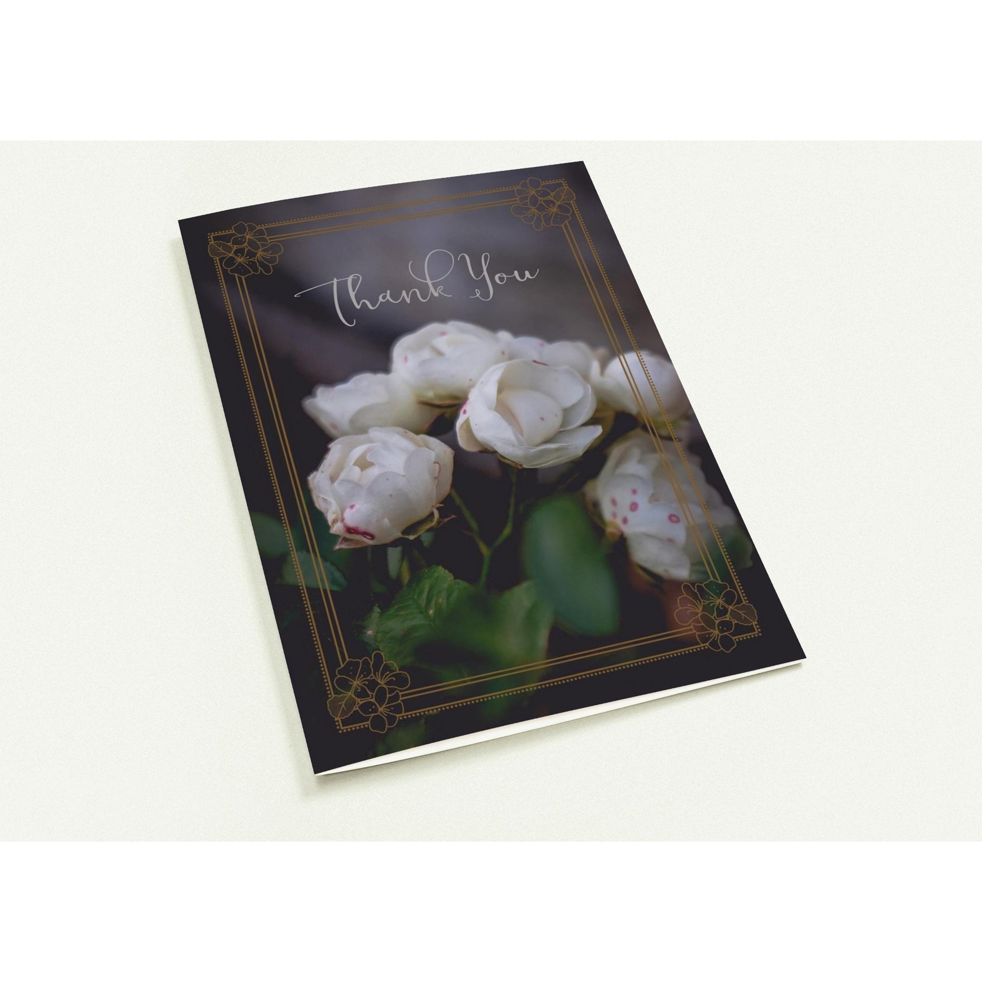 51fd860b-8bae-4fc1-826a-5d3ec704679e