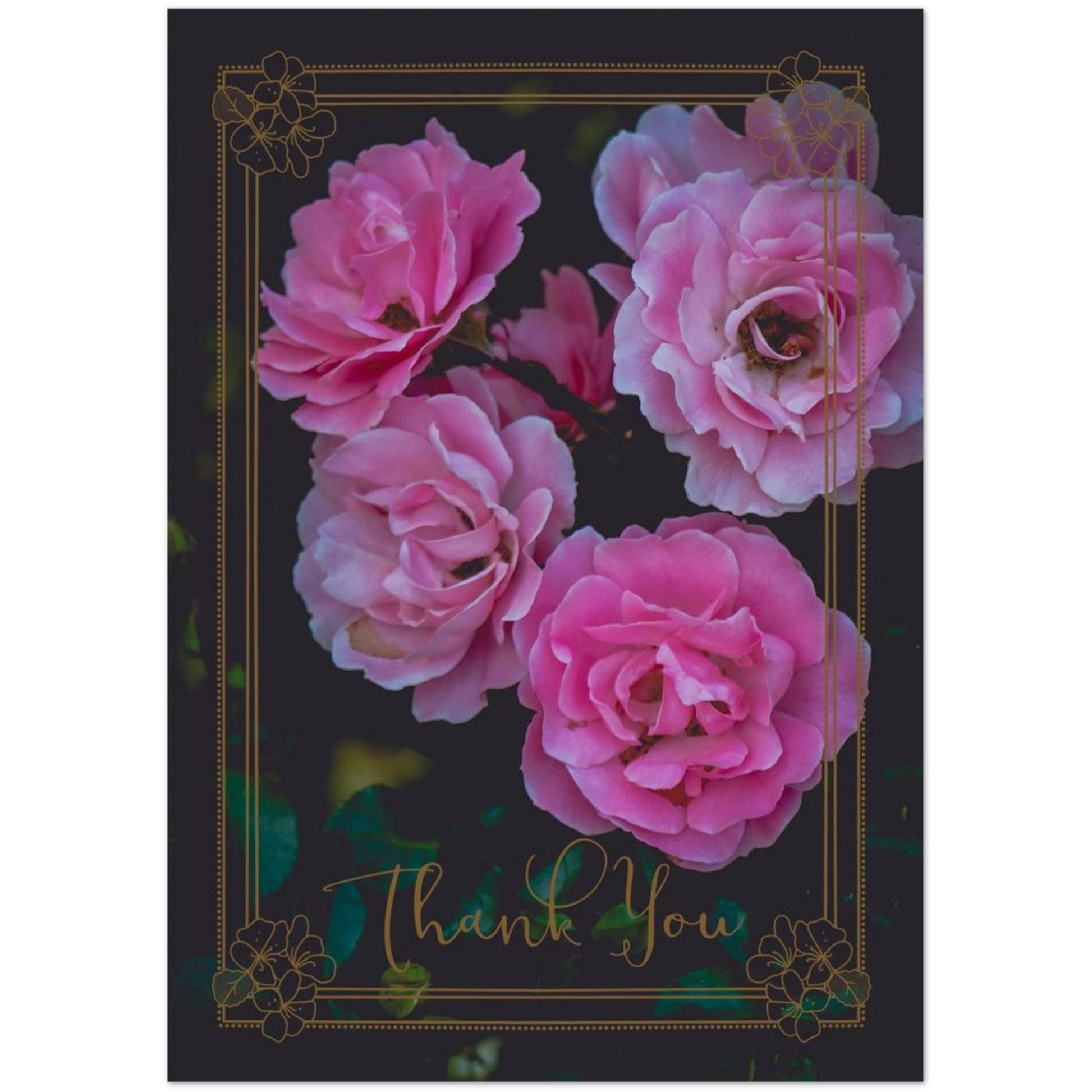 538a56e5-27c3-4d7f-94e7-c423a8b13014