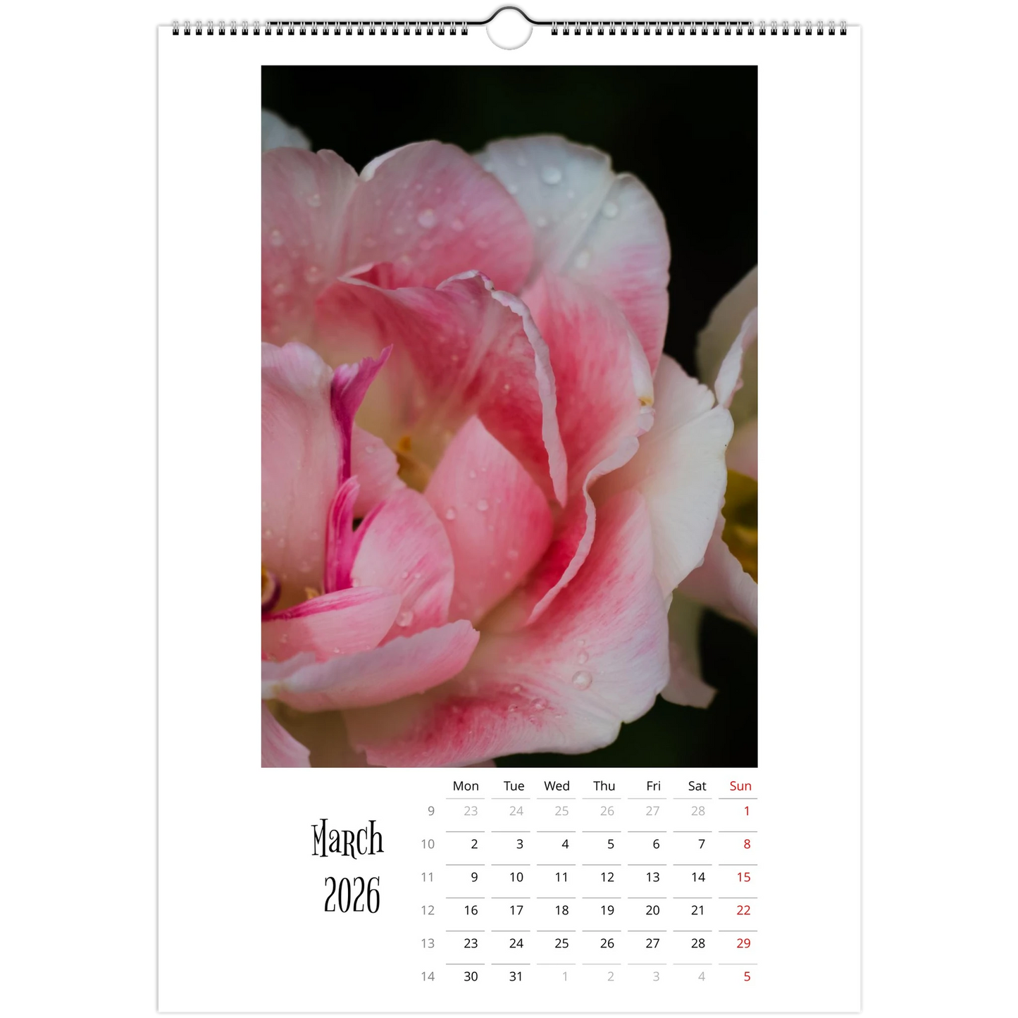 55136ca8-7b91-4ac9-8480-887a9d12db59