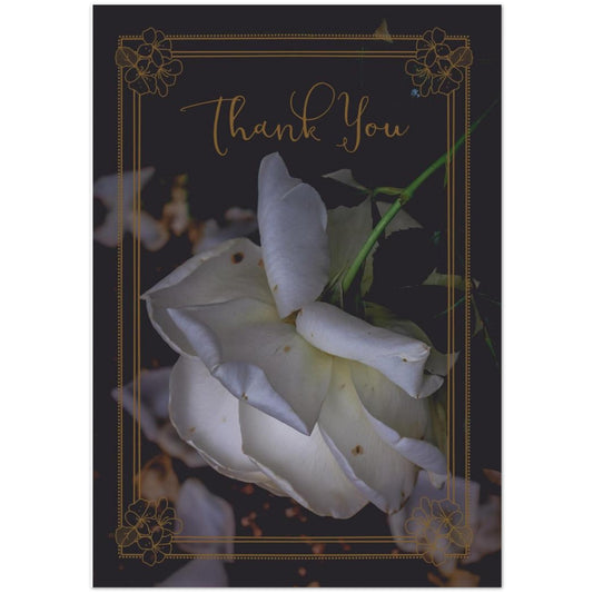 5b5576fd-628c-46e3-8397-3b44dda5296f