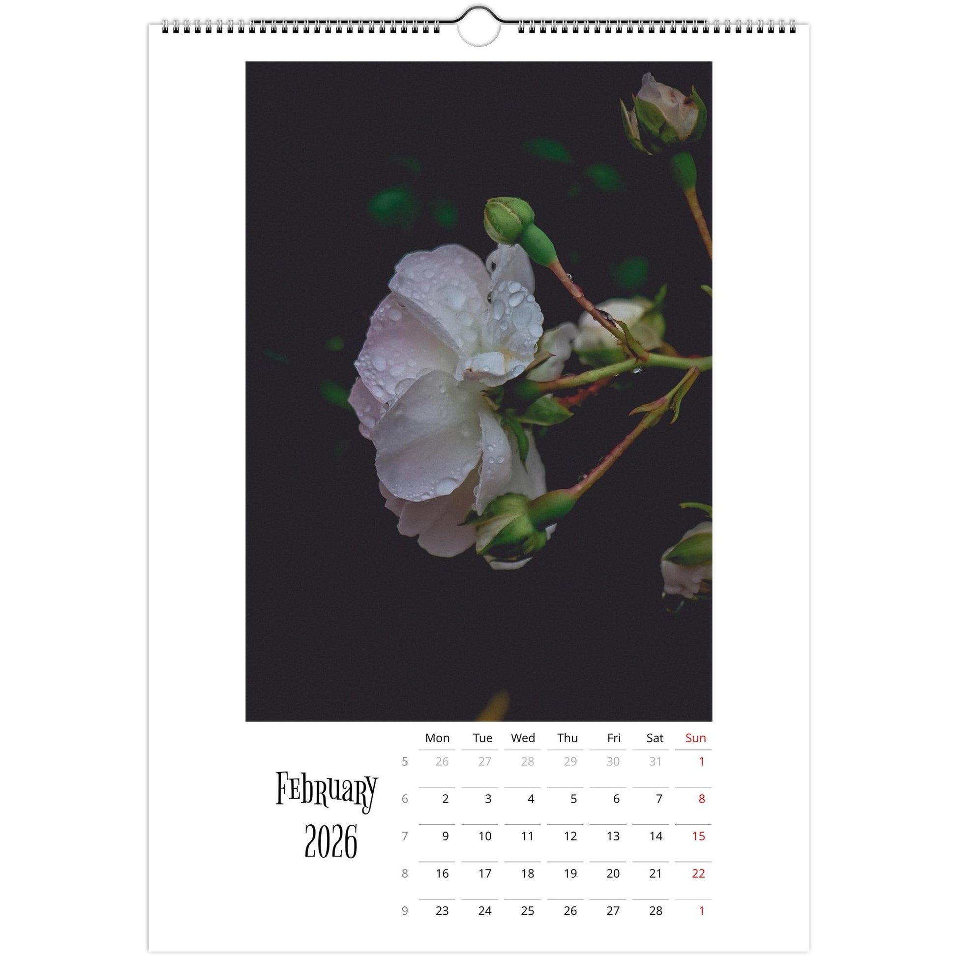 5c145871-cfeb-49e3-81cf-92f76d6a94a1