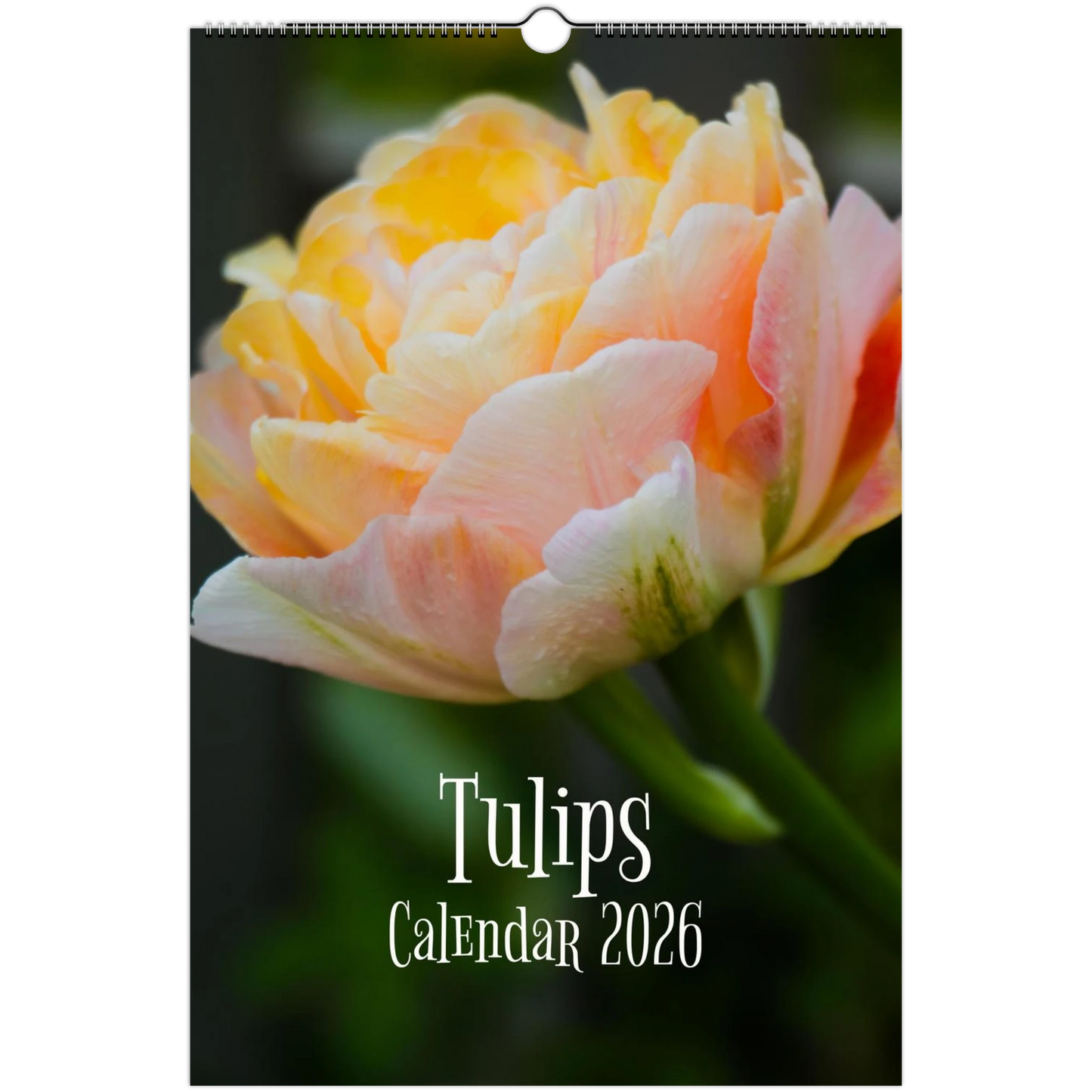 5d78f6fa-b816-4d16-add8-ce59df9af731