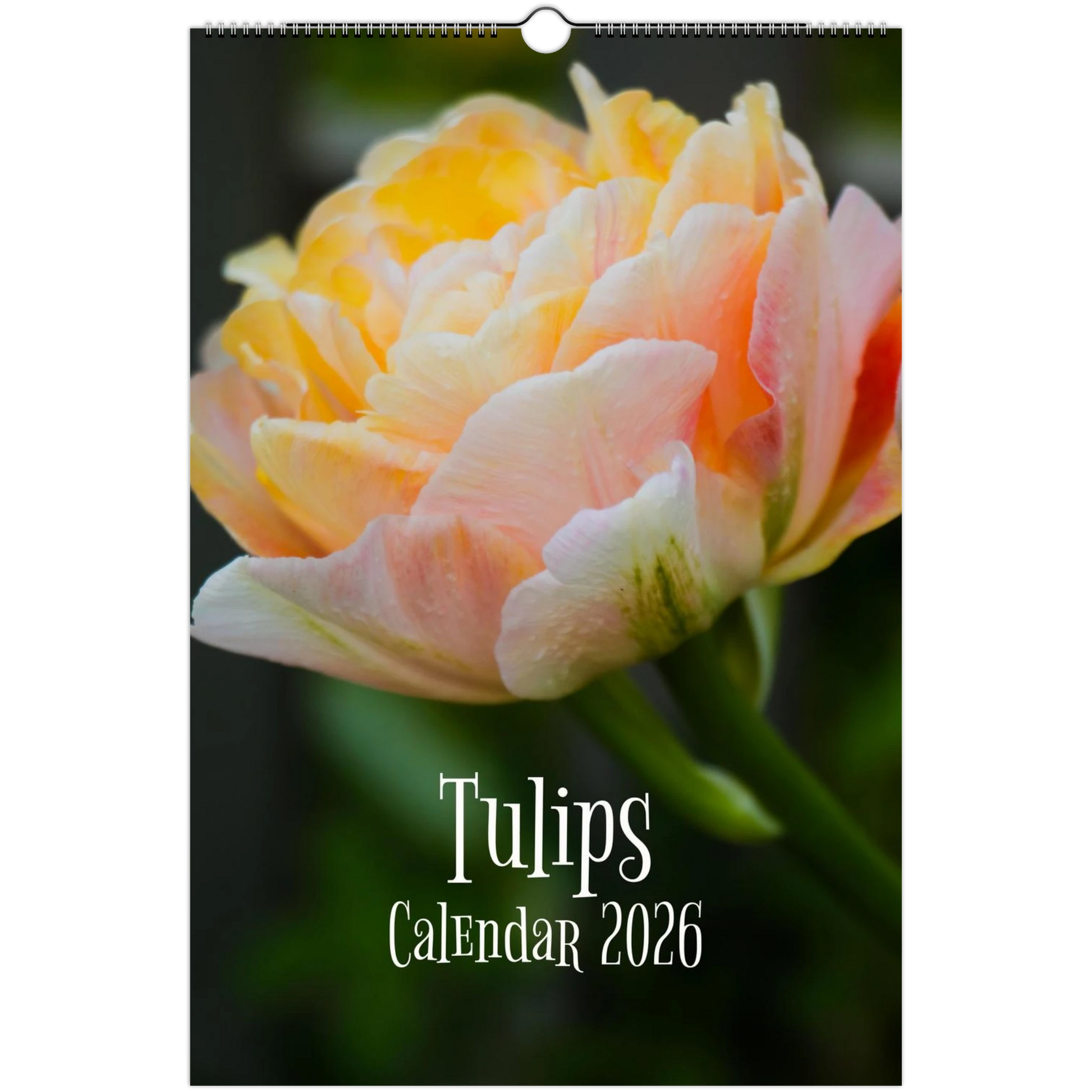 5d78f6fa-b816-4d16-add8-ce59df9af731