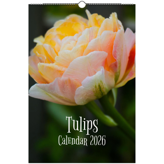 5d78f6fa-b816-4d16-add8-ce59df9af731