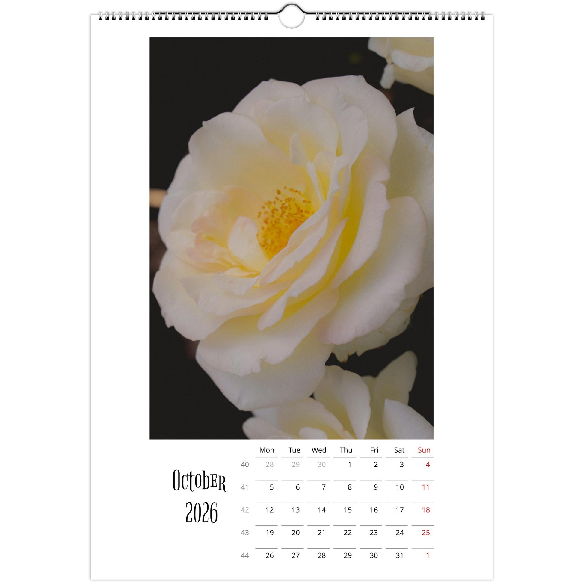 61250a1a-ed9f-438b-a911-7b24148a6fed