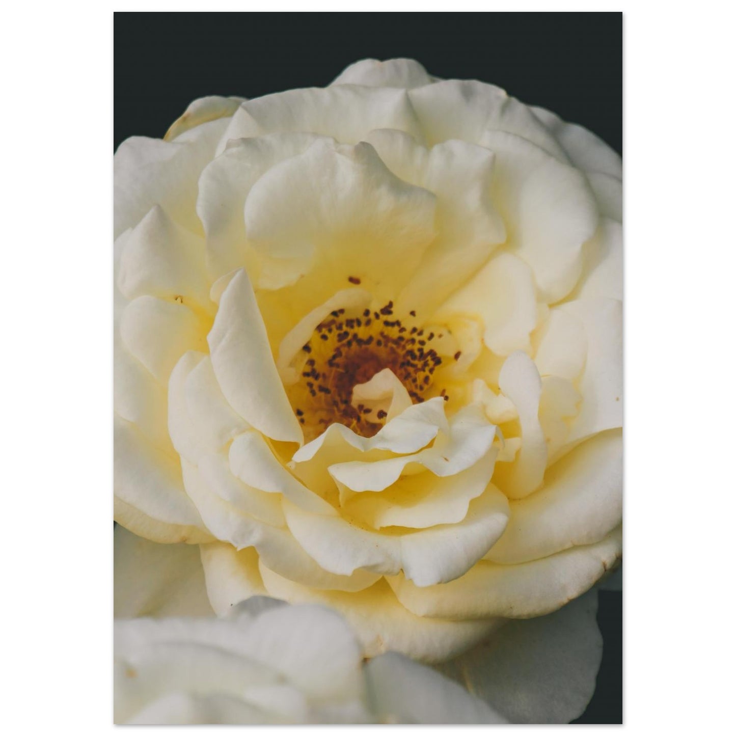 625e1f14-9166-4578-8b6c-a2d882a34bfe