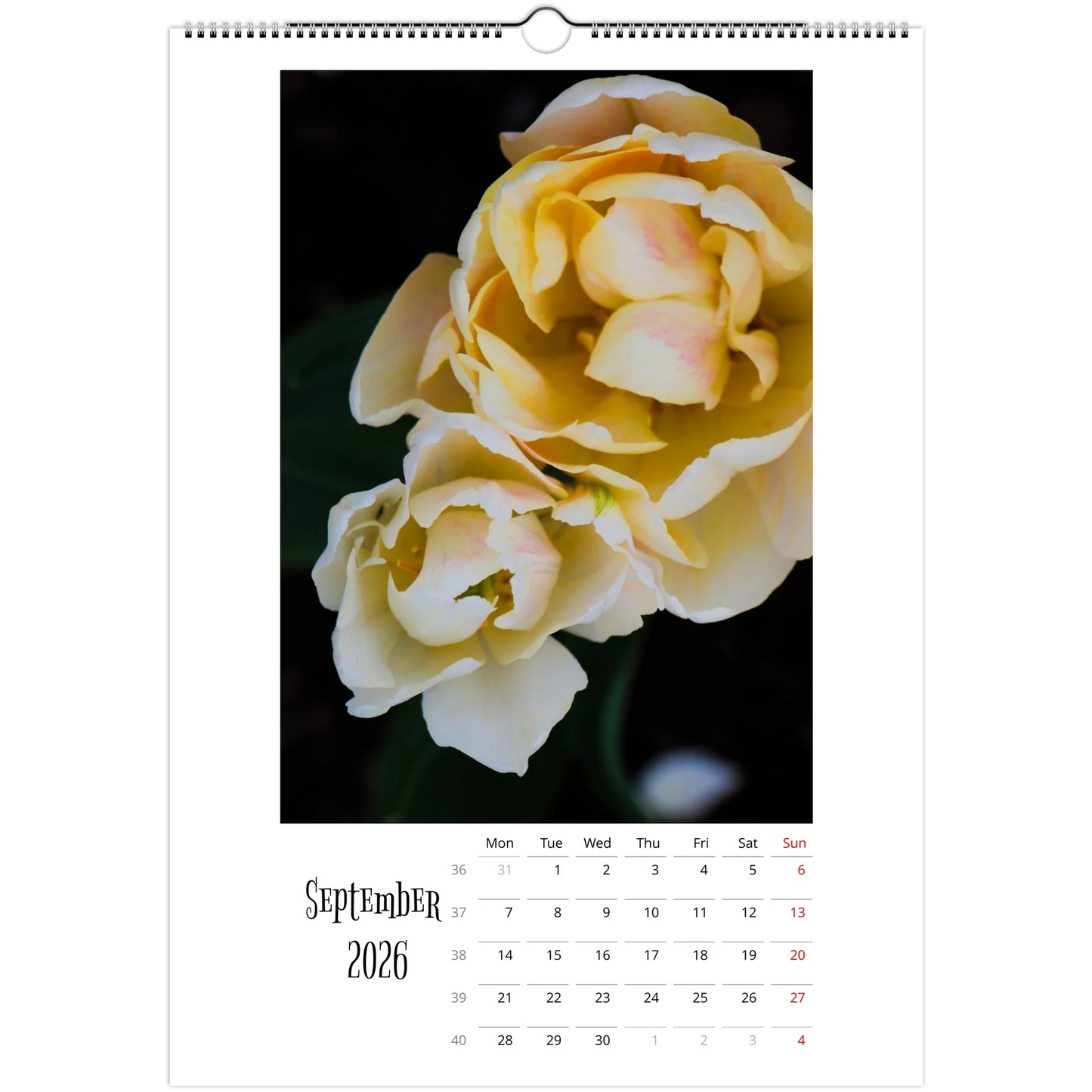 67c0c717-9d73-473e-aeef-9f633c2c096c