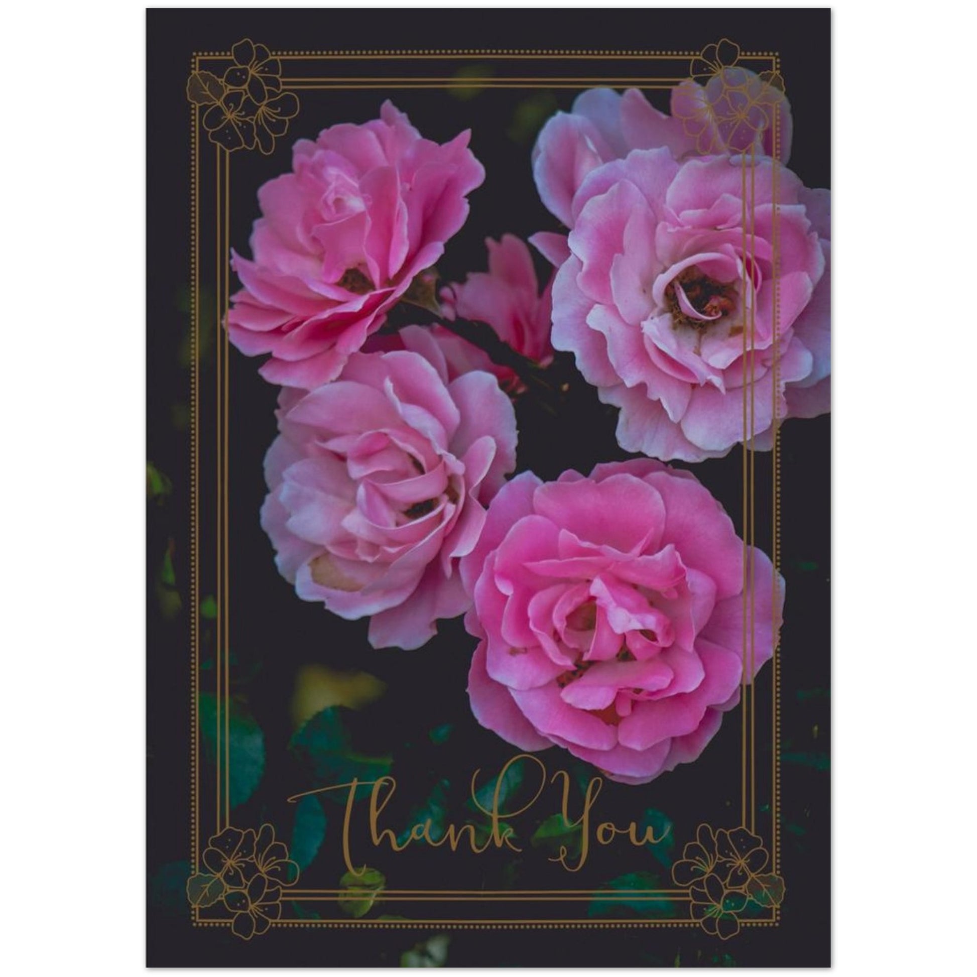 6c0794da-f0c0-43d2-bd63-993b6a8a9726