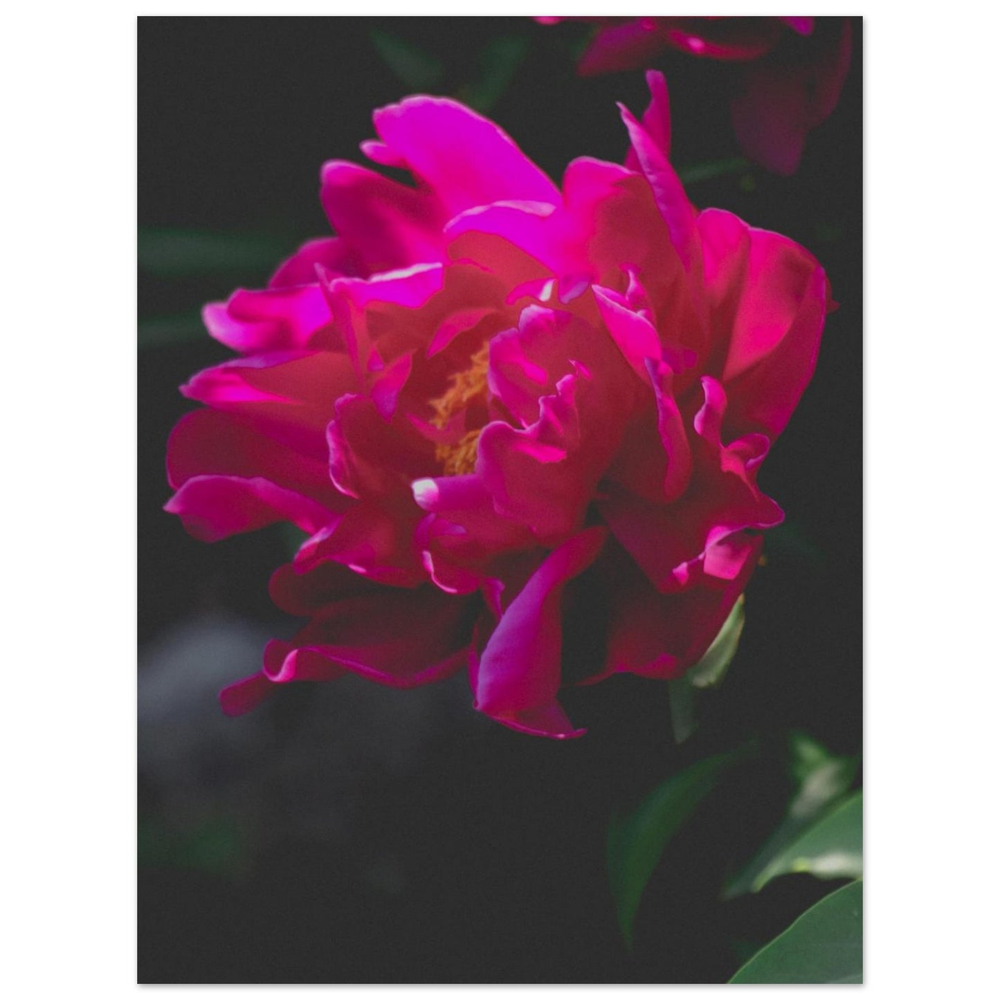 6c87e0c5-848f-4b4b-a637-e4095811a390