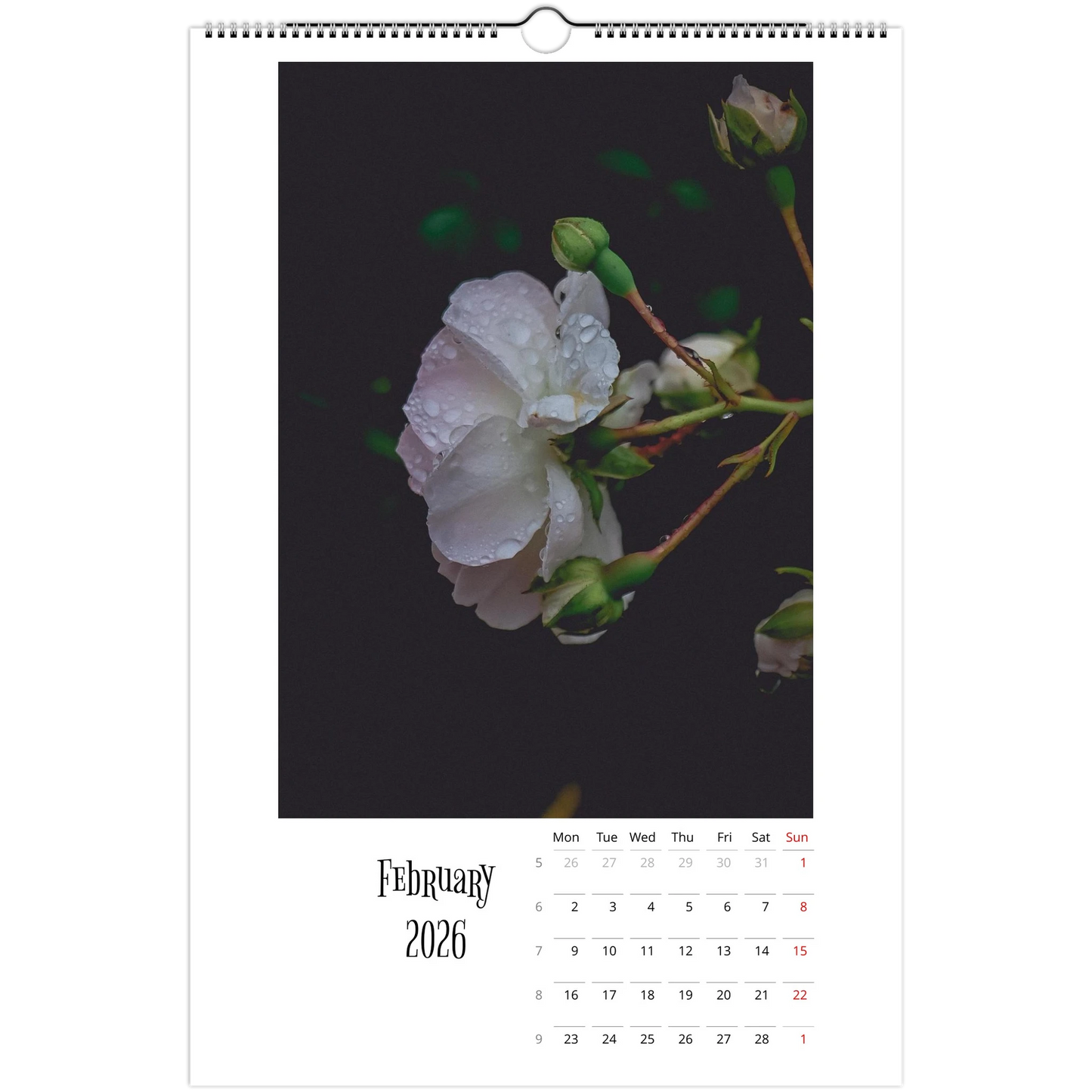 6daf0bd2-c7f0-479c-89df-8c6a07228fb5